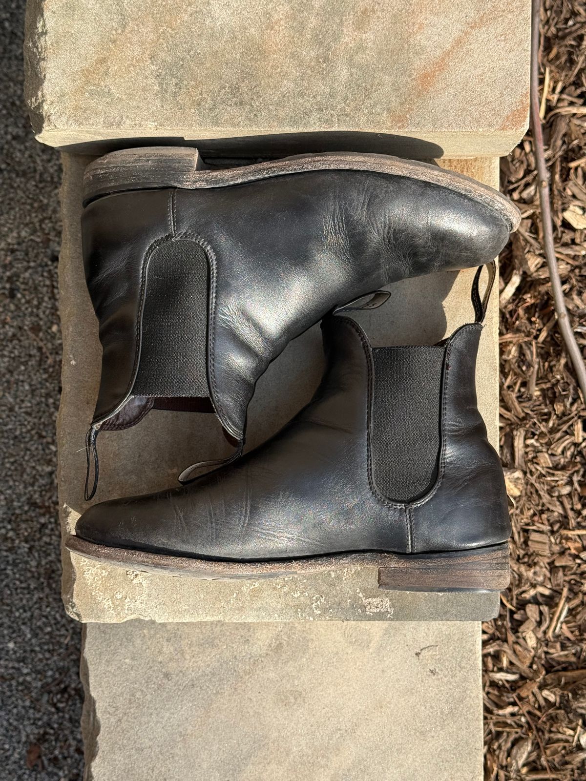 Photo by staphyloco on March 3, 2025 of the Blundstone Dress in Black.