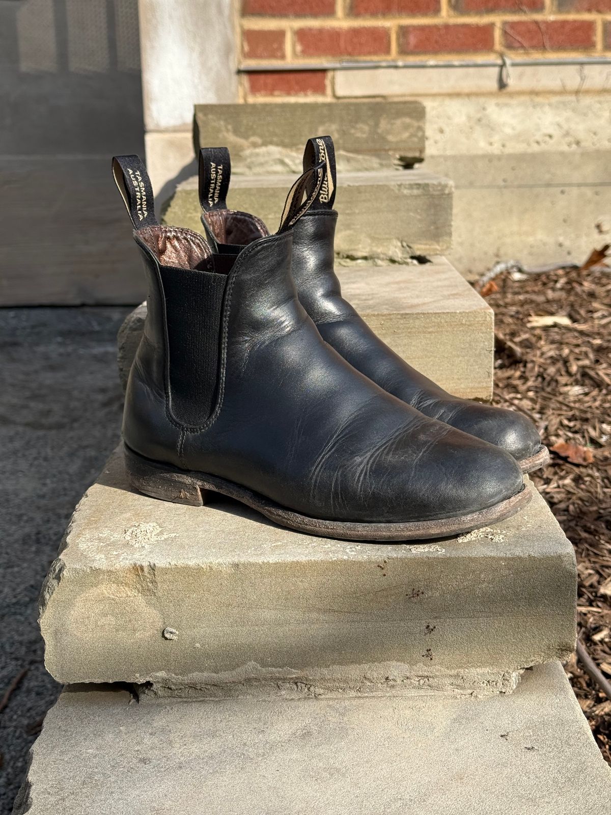 Photo by staphyloco on March 3, 2025 of the Blundstone Dress in Black.