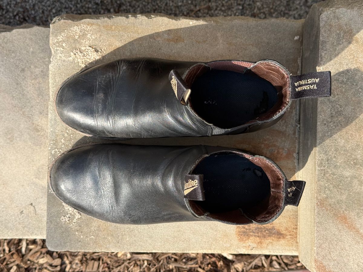Photo by staphyloco on March 3, 2025 of the Blundstone Dress in Black.
