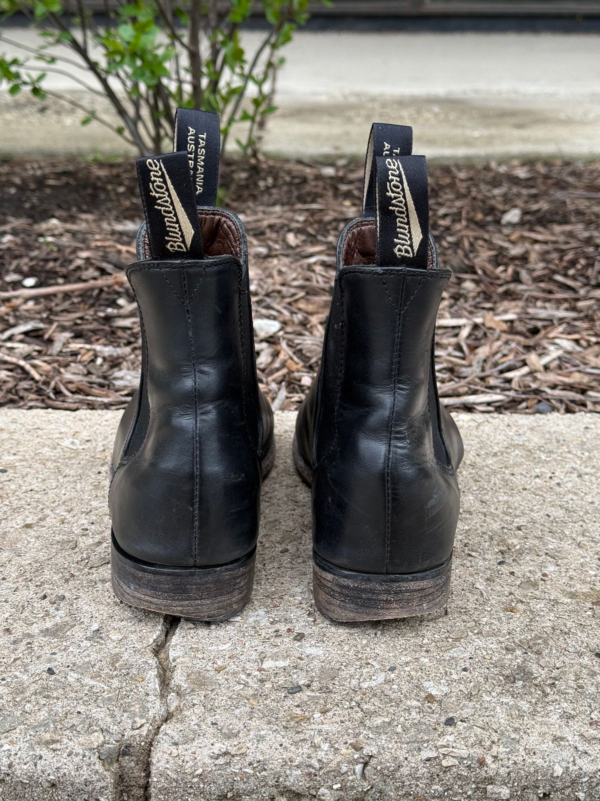 Photo by staphyloco on April 5, 2025 of the Blundstone Dress in Black.