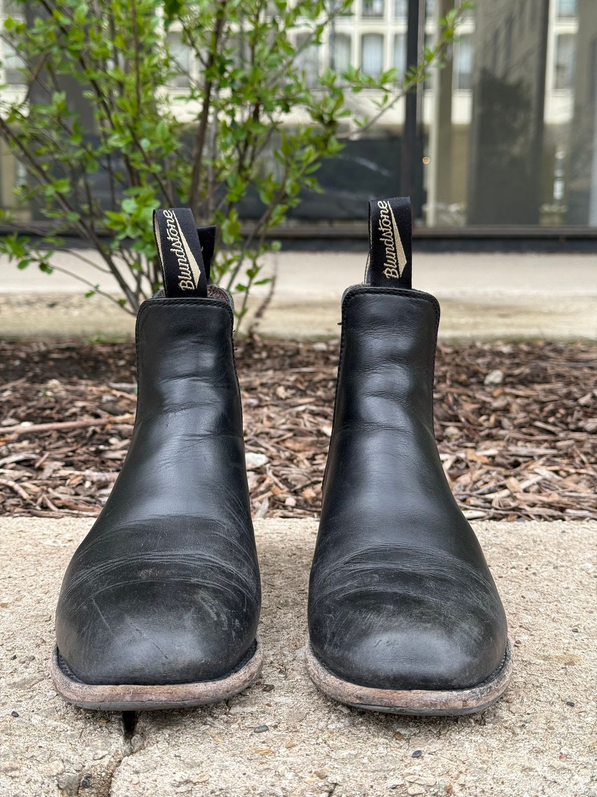 Photo by staphyloco on April 5, 2025 of the Blundstone Dress in Black.