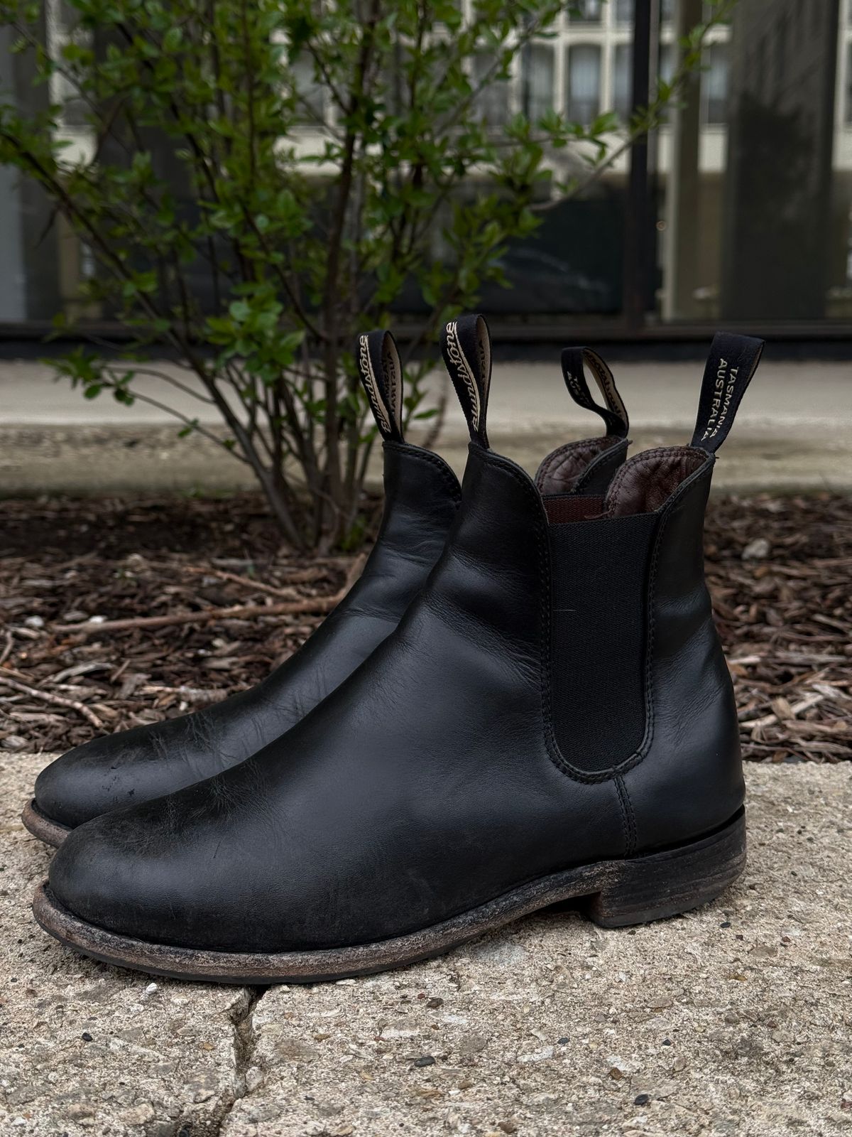 Photo by staphyloco on April 5, 2025 of the Blundstone Dress in Black.