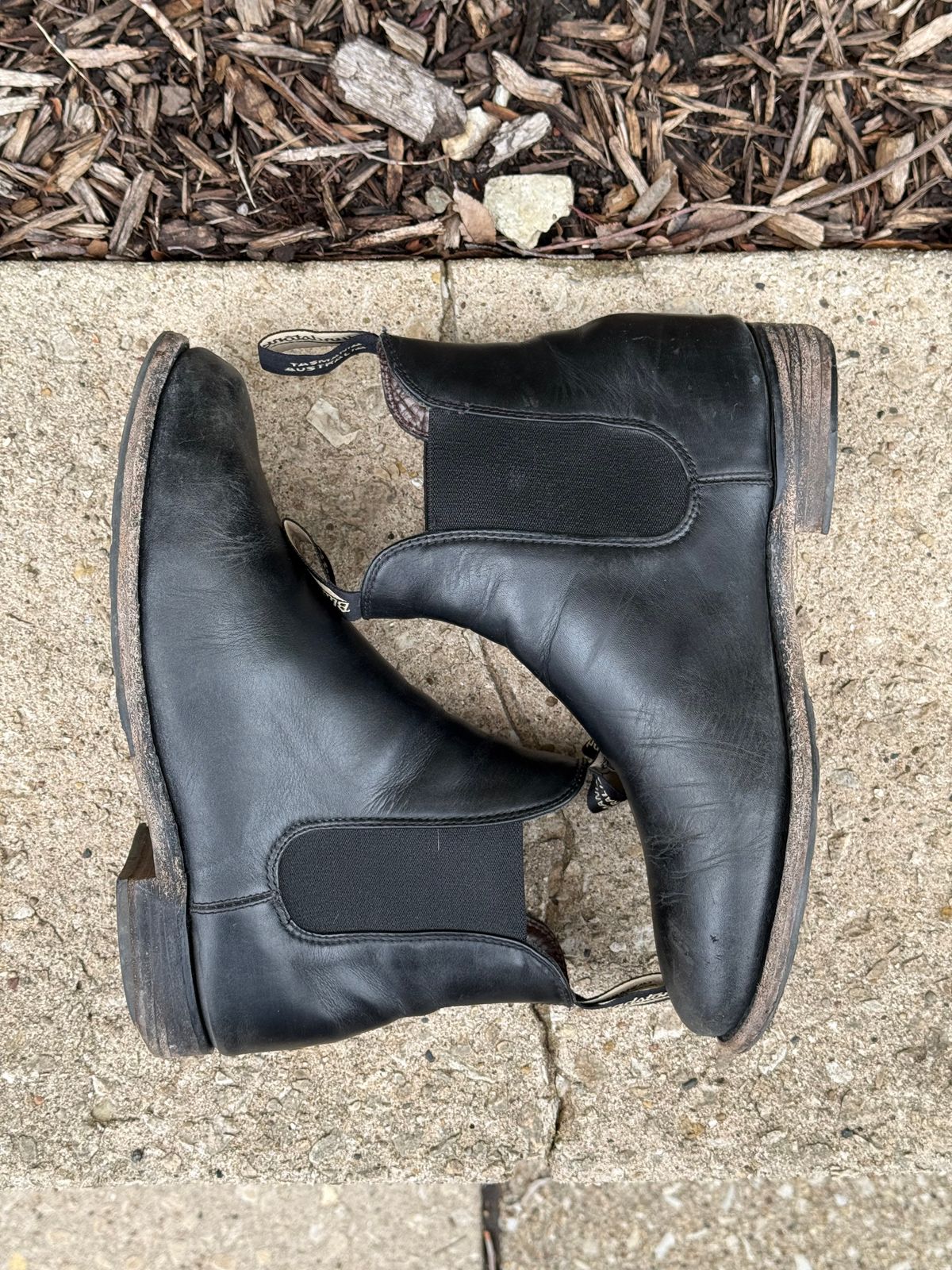 Photo by staphyloco on April 5, 2025 of the Blundstone Dress in Black.