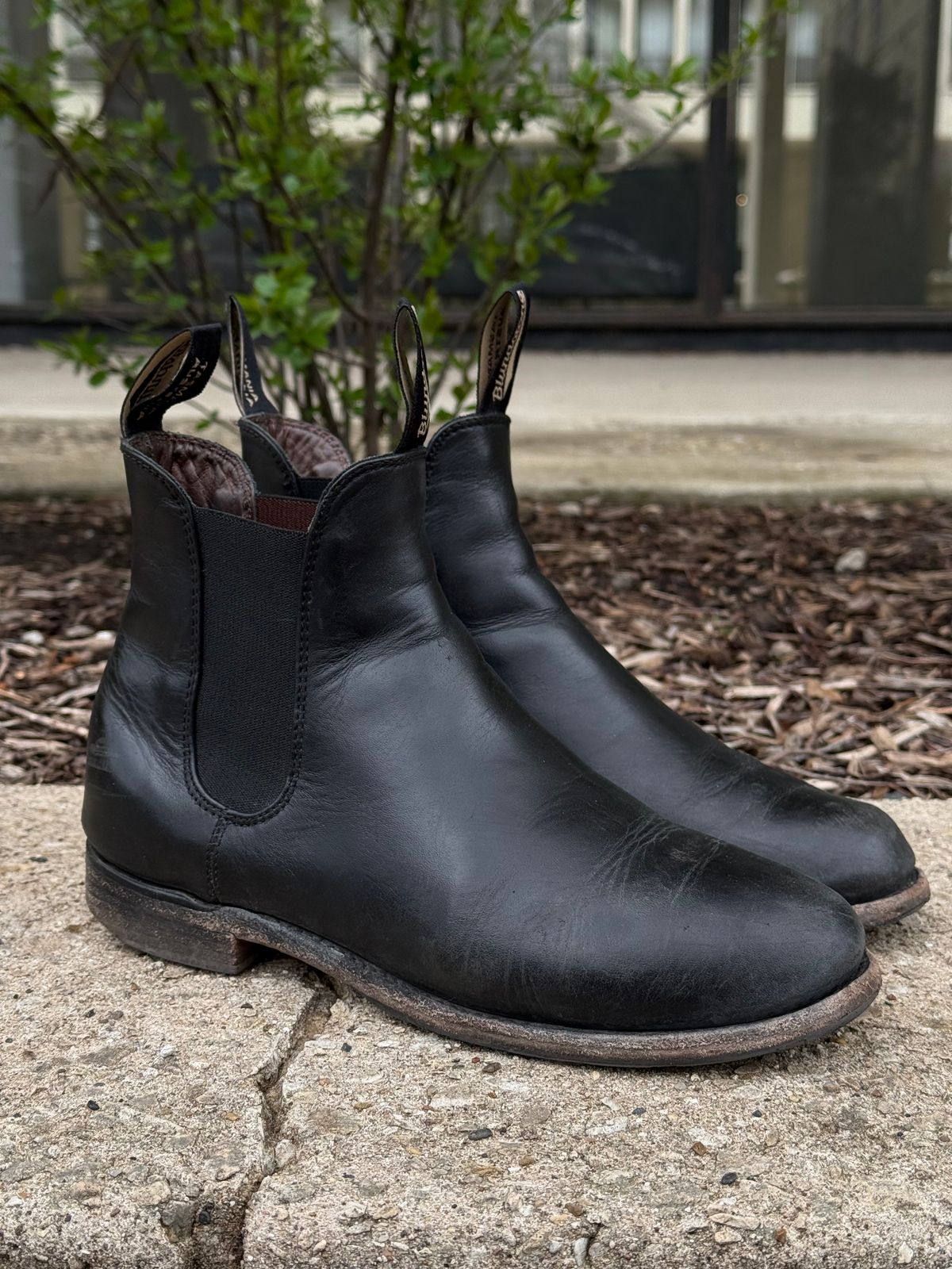 Photo by staphyloco on April 5, 2025 of the Blundstone Dress in Black.