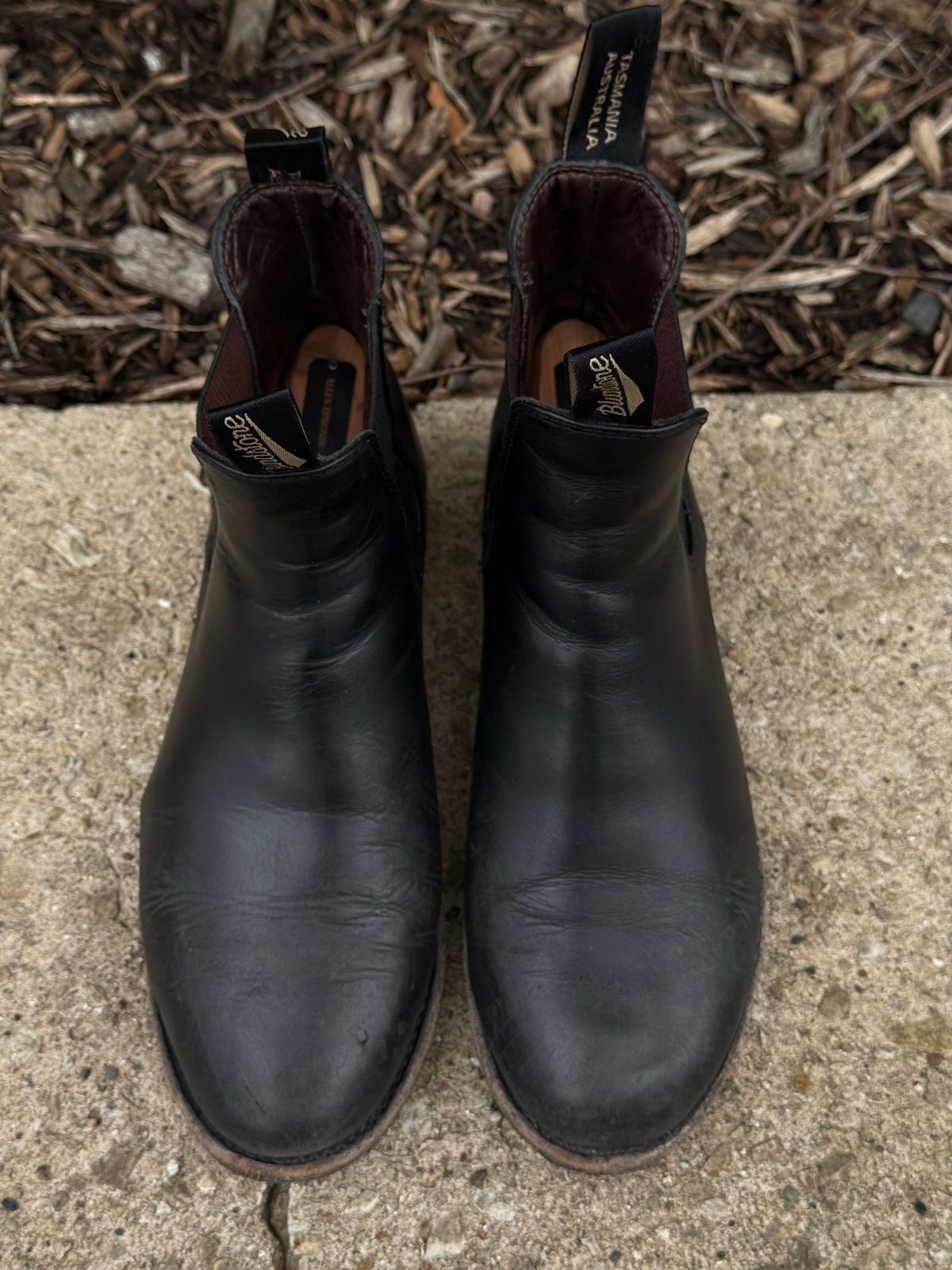 Photo by staphyloco on April 5, 2025 of the Blundstone Dress in Black.