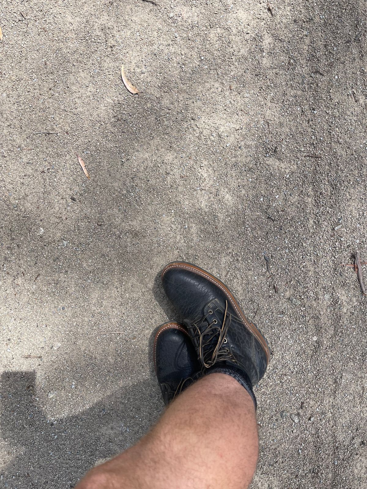 Photo by aussiebootboy on January 13, 2025 of the Truman Plain Toe Boot in Law Tanning Black Big Horn Shrunken Bison.