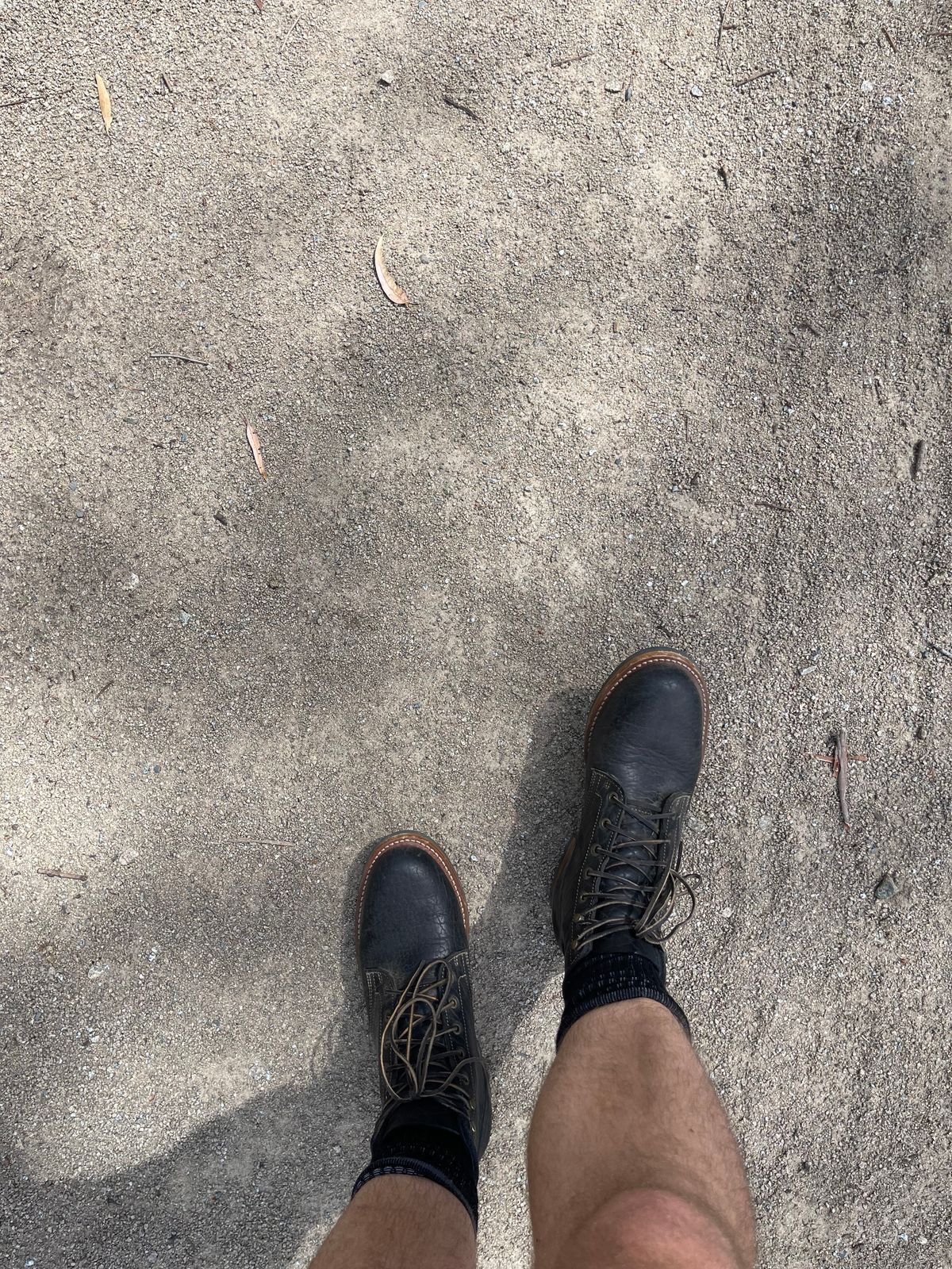 Photo by aussiebootboy on January 13, 2025 of the Truman Plain Toe Boot in Law Tanning Black Big Horn Shrunken Bison.