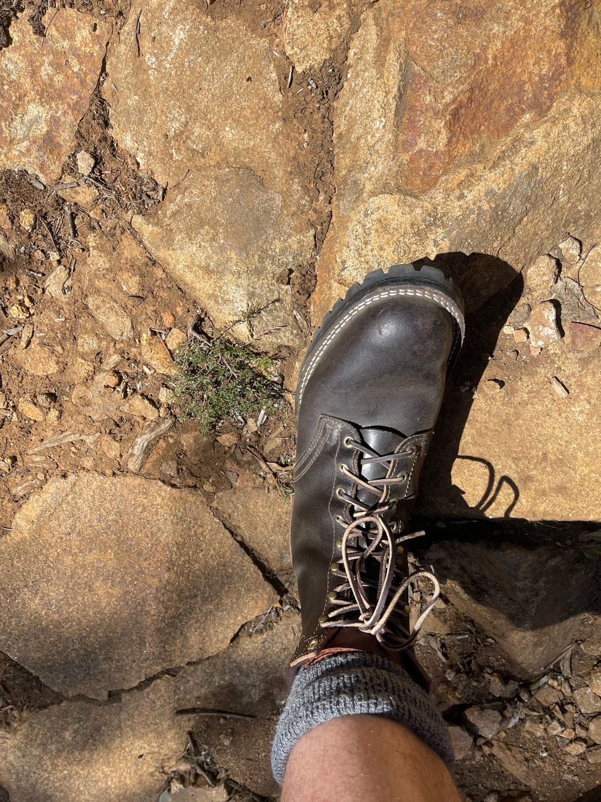 Photo by aussiebootboy on February 28, 2025 of the Nicks X Parkhurst V3 in Horween Brown Waxed Flesh.