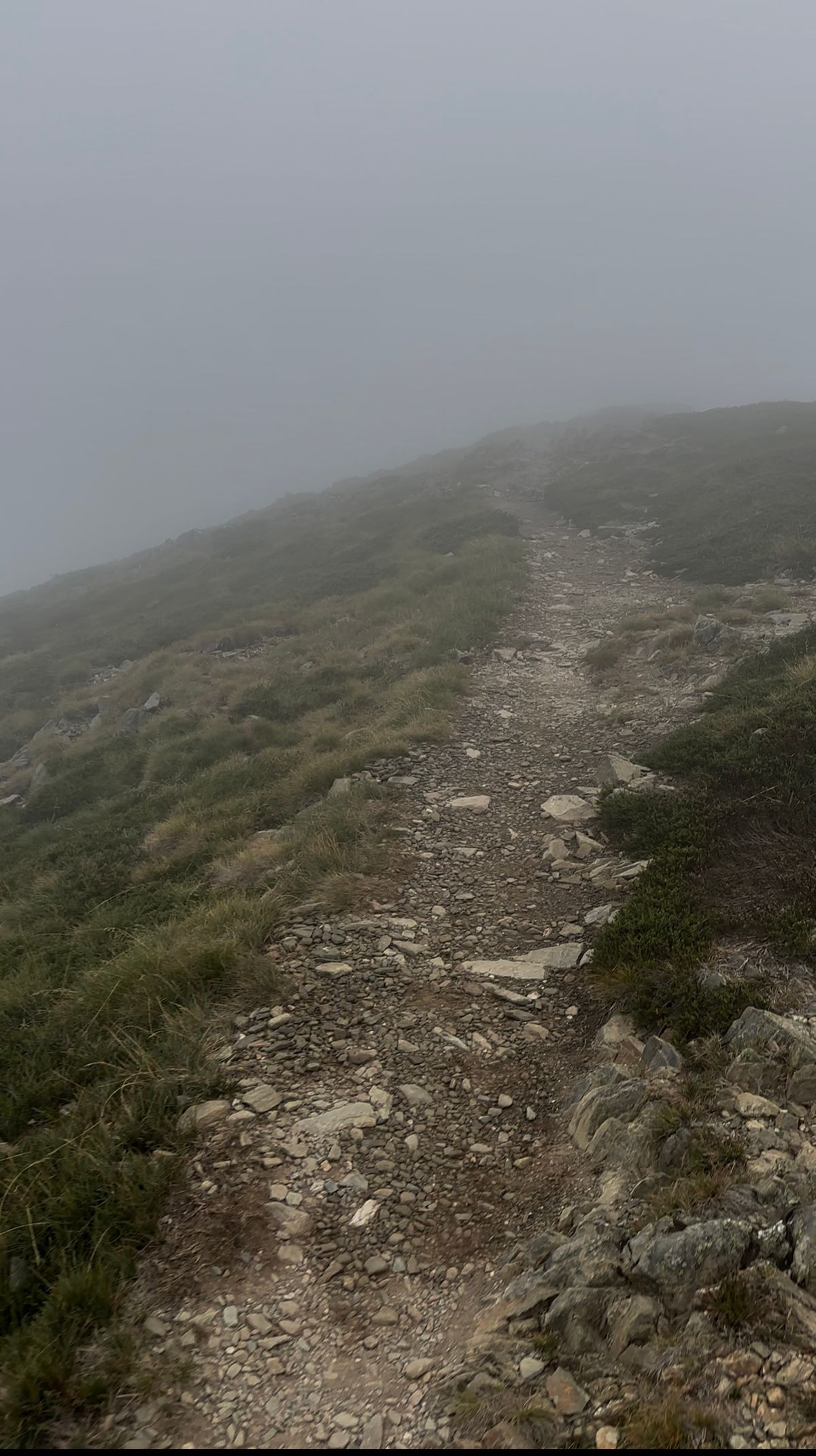 Photo by aussiebootboy on April 5, 2026 of the Nicks X Parkhurst V3 in Horween Brown Waxed Flesh.