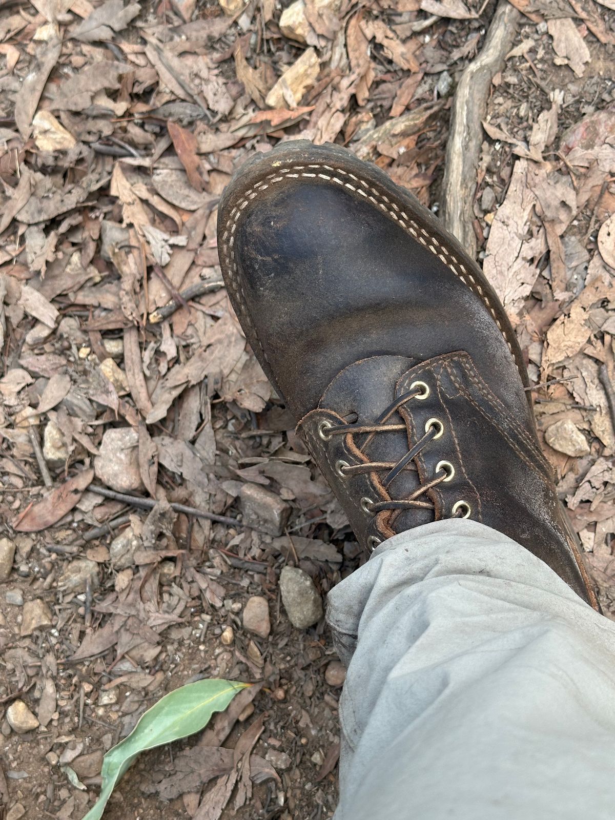 Photo by aussiebootboy on April 3, 2026 of the Nicks X Parkhurst V3 in Horween Brown Waxed Flesh.