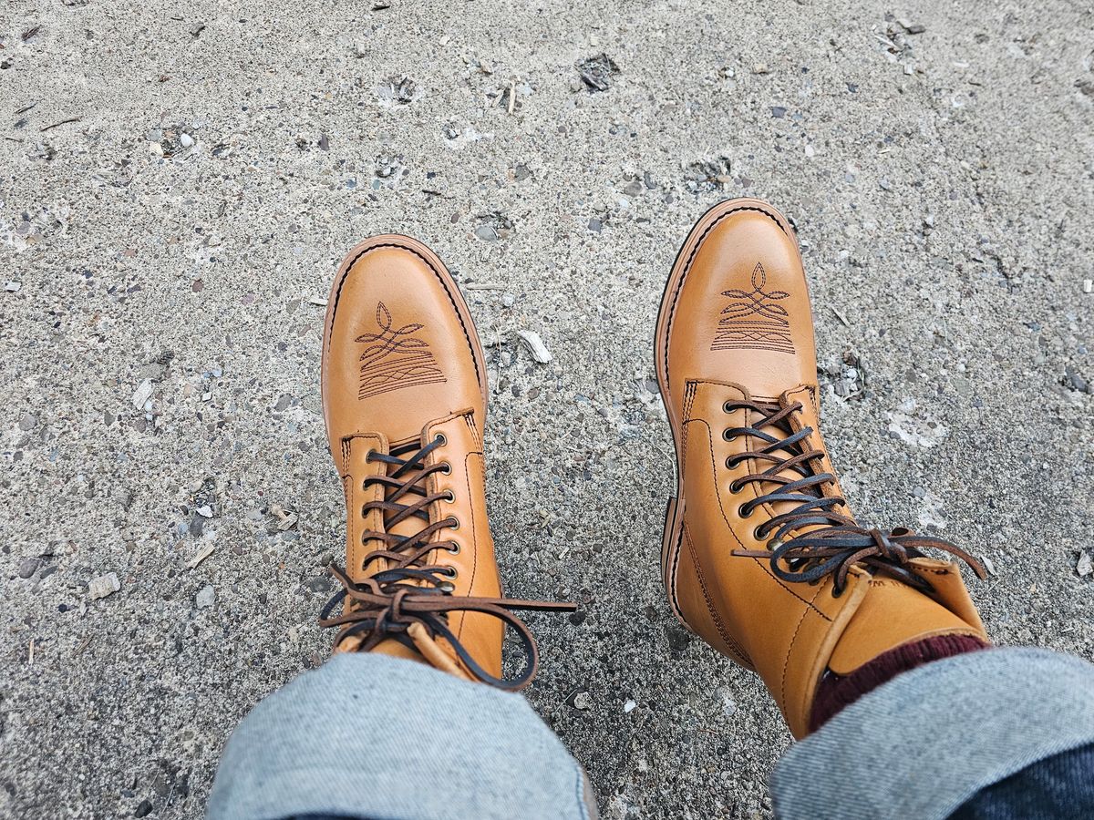 Photo by DPG on June 24, 2026 of the Urban Wolf Club Springfield 10 Eyelette in Amber Waxed Aniline.