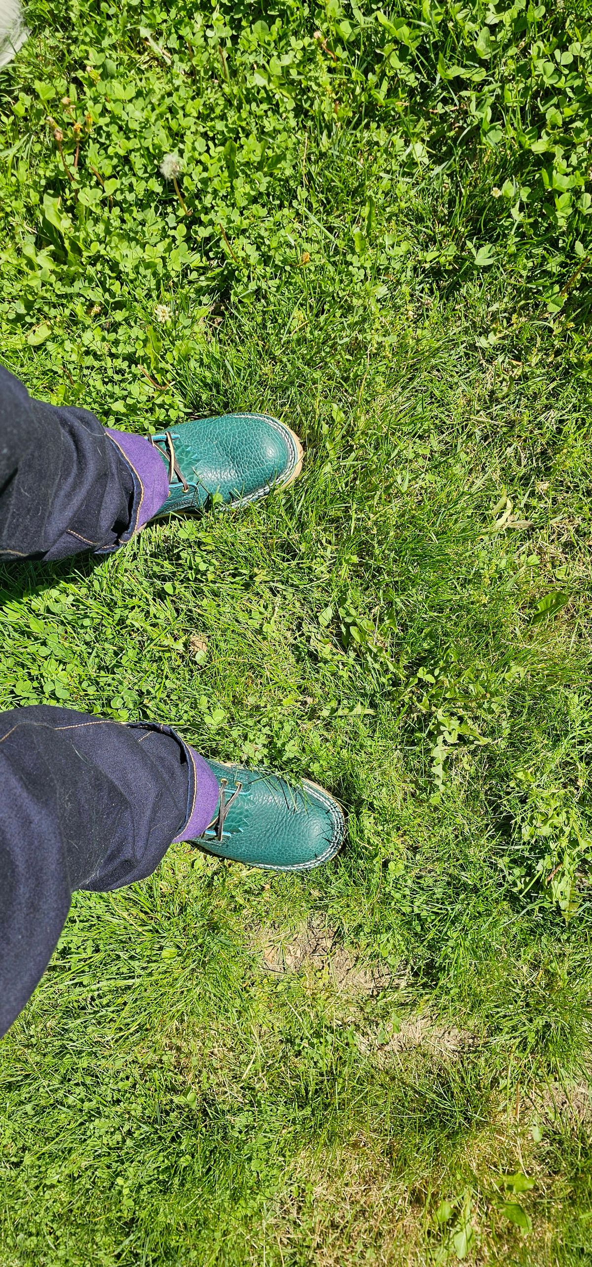 Photo by DPG on May 28, 2026 of the Nicks BuilderPro in Law Tanning Turquoise Shrunken Bison.