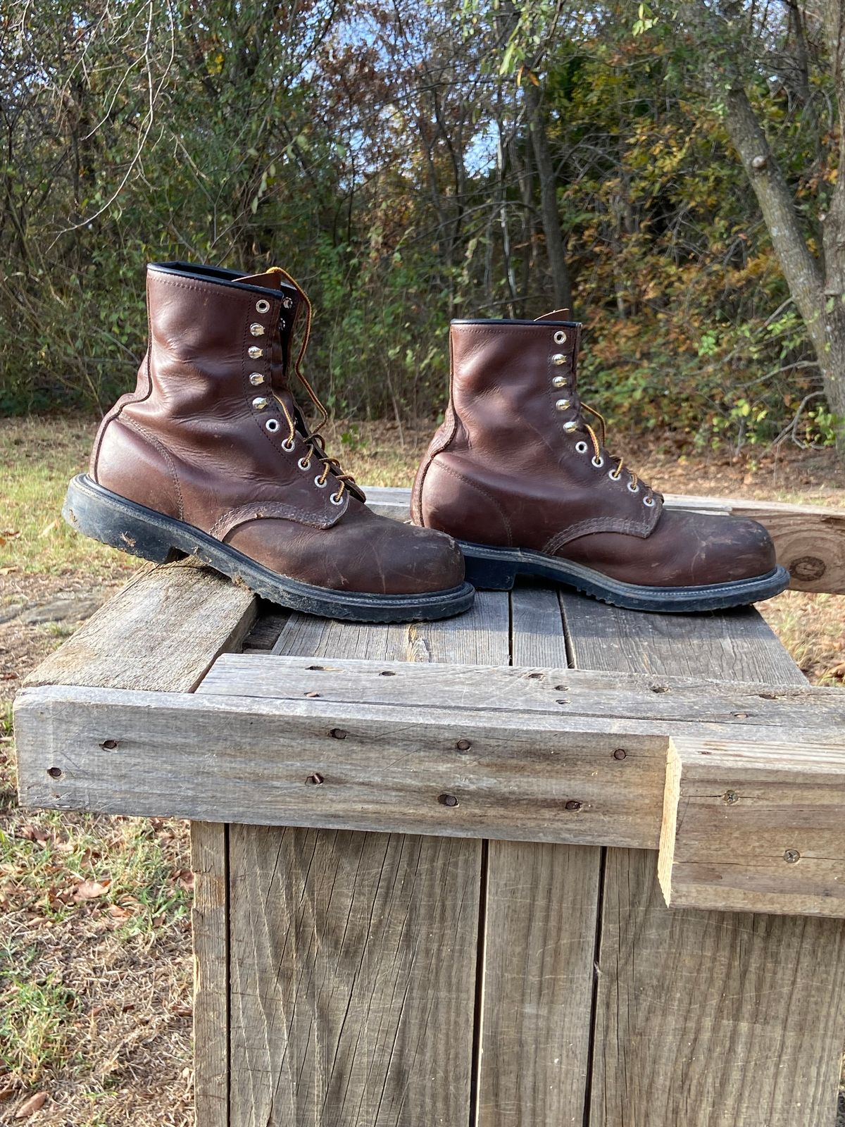 Photo by Dannymize on November 1, 2024 of the Red Wing 2233 in Full Grain Oiled.
