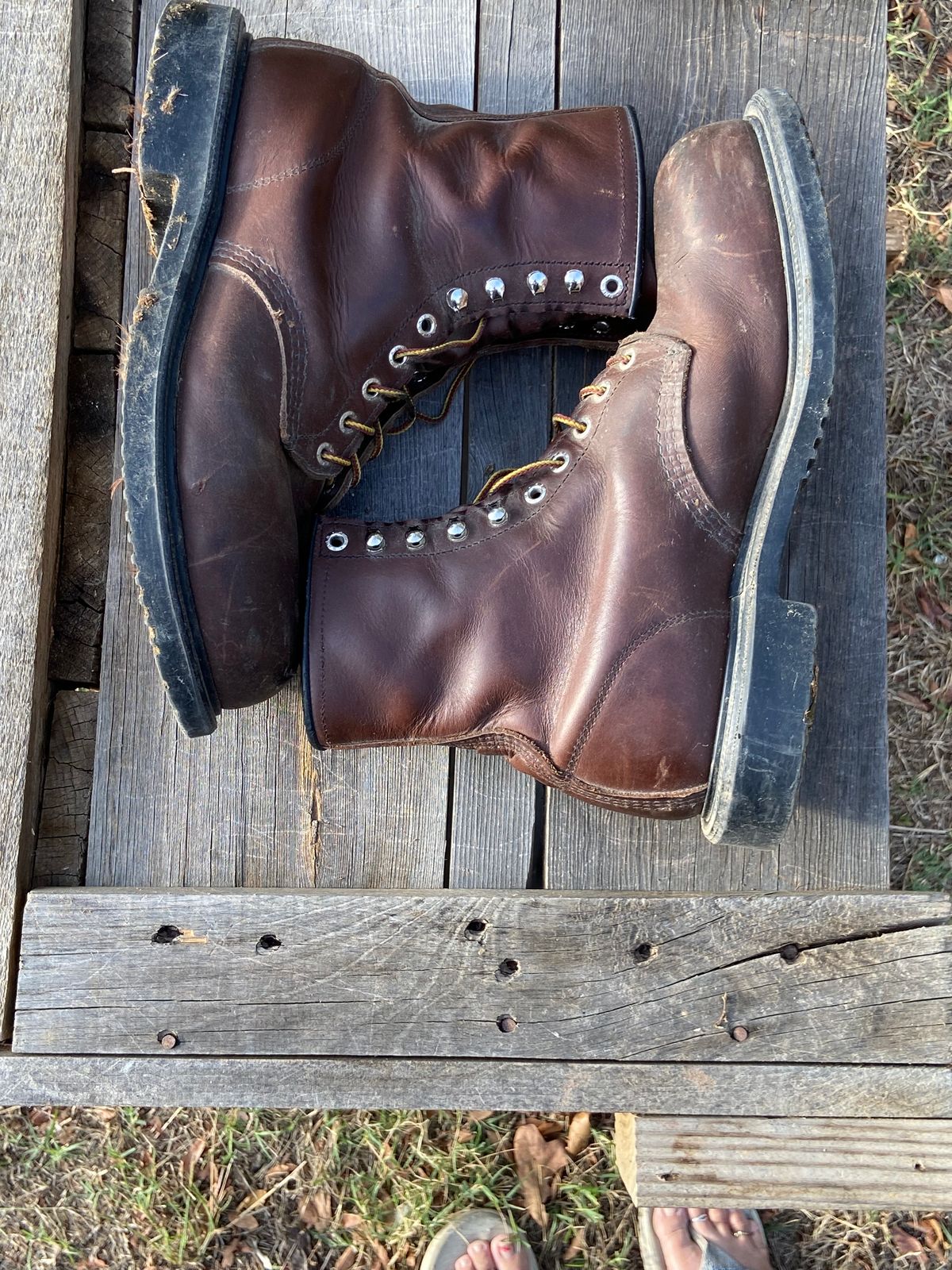 Photo by Dannymize on November 1, 2024 of the Red Wing 2233 in Full Grain Oiled.