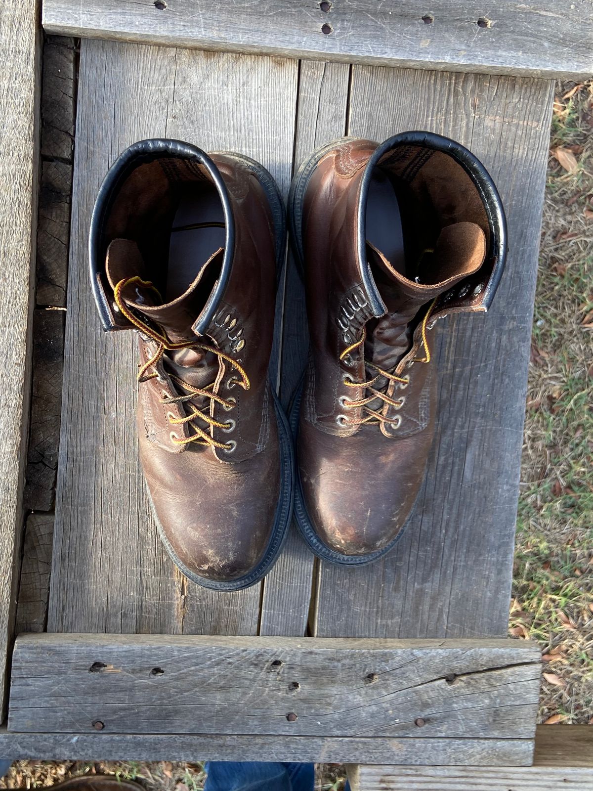 Photo by Dannymize on November 1, 2024 of the Red Wing 2233 in Full Grain Oiled.