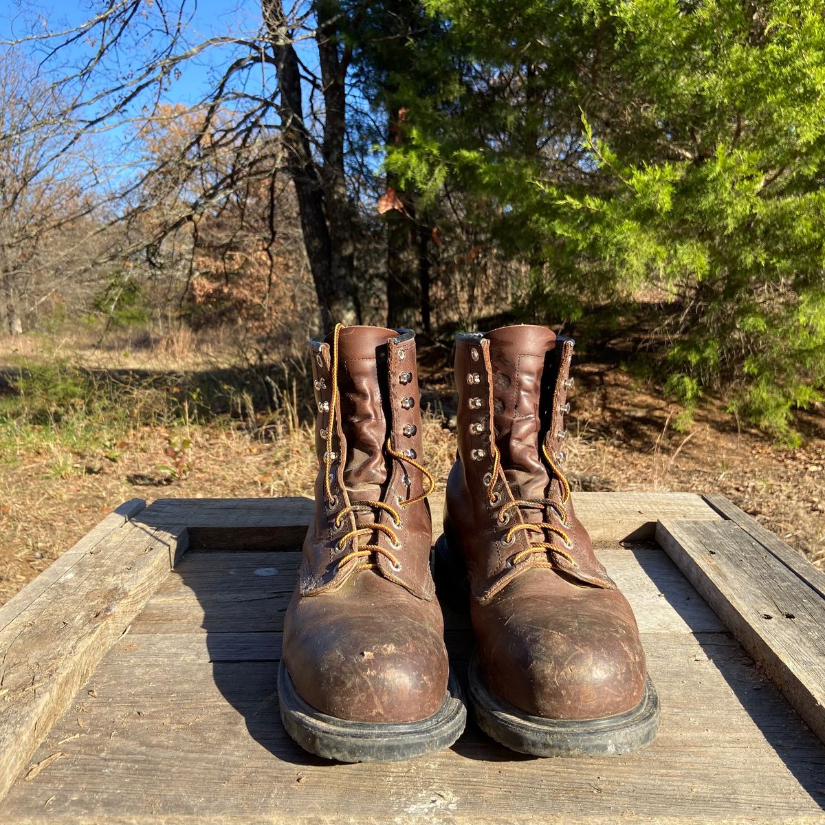 Photo by Dannymize on December 1, 2024 of the Red Wing 2233 in Full Grain Oiled.