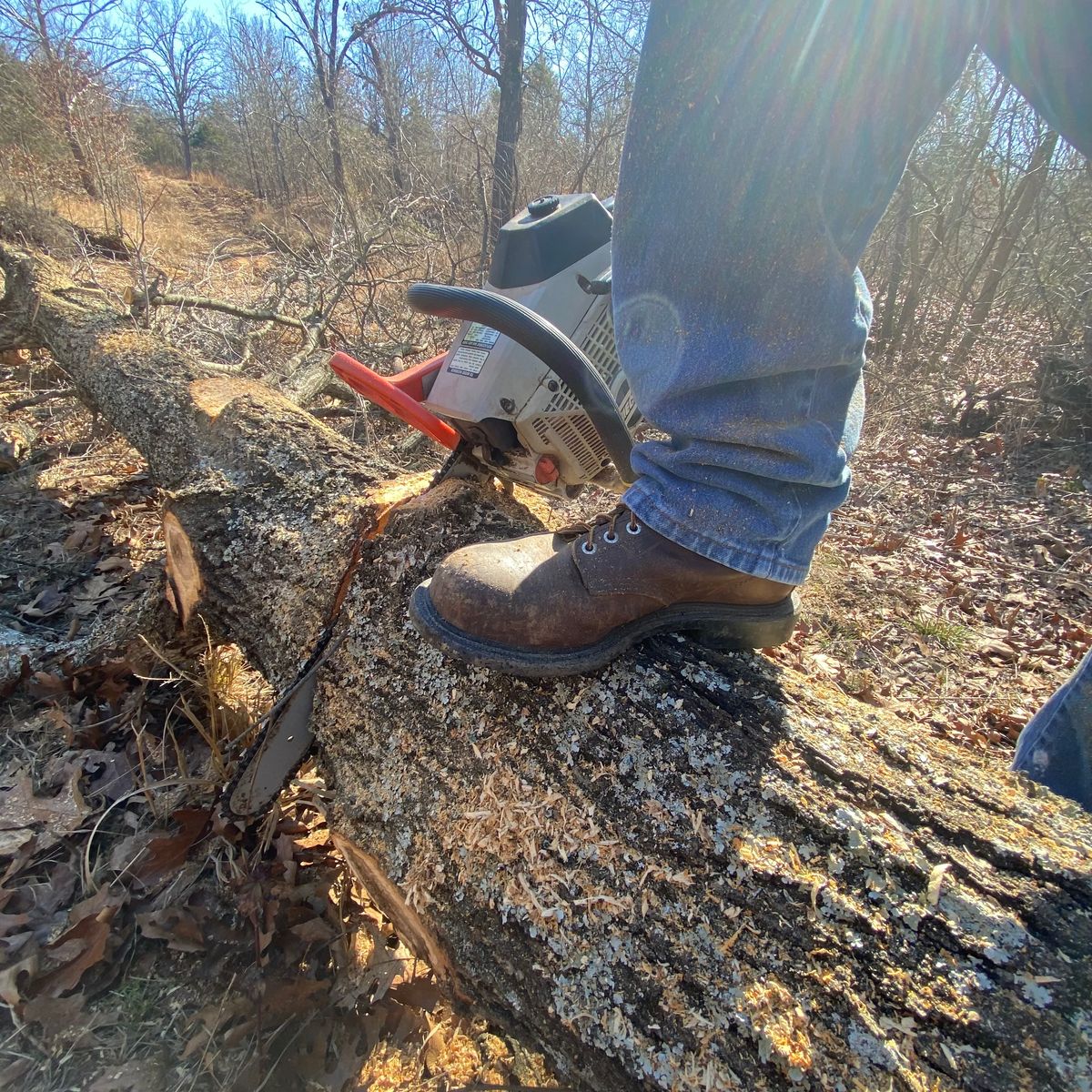 Photo by Dannymize on February 1, 2025 of the Red Wing 2233 in Full Grain Oiled.