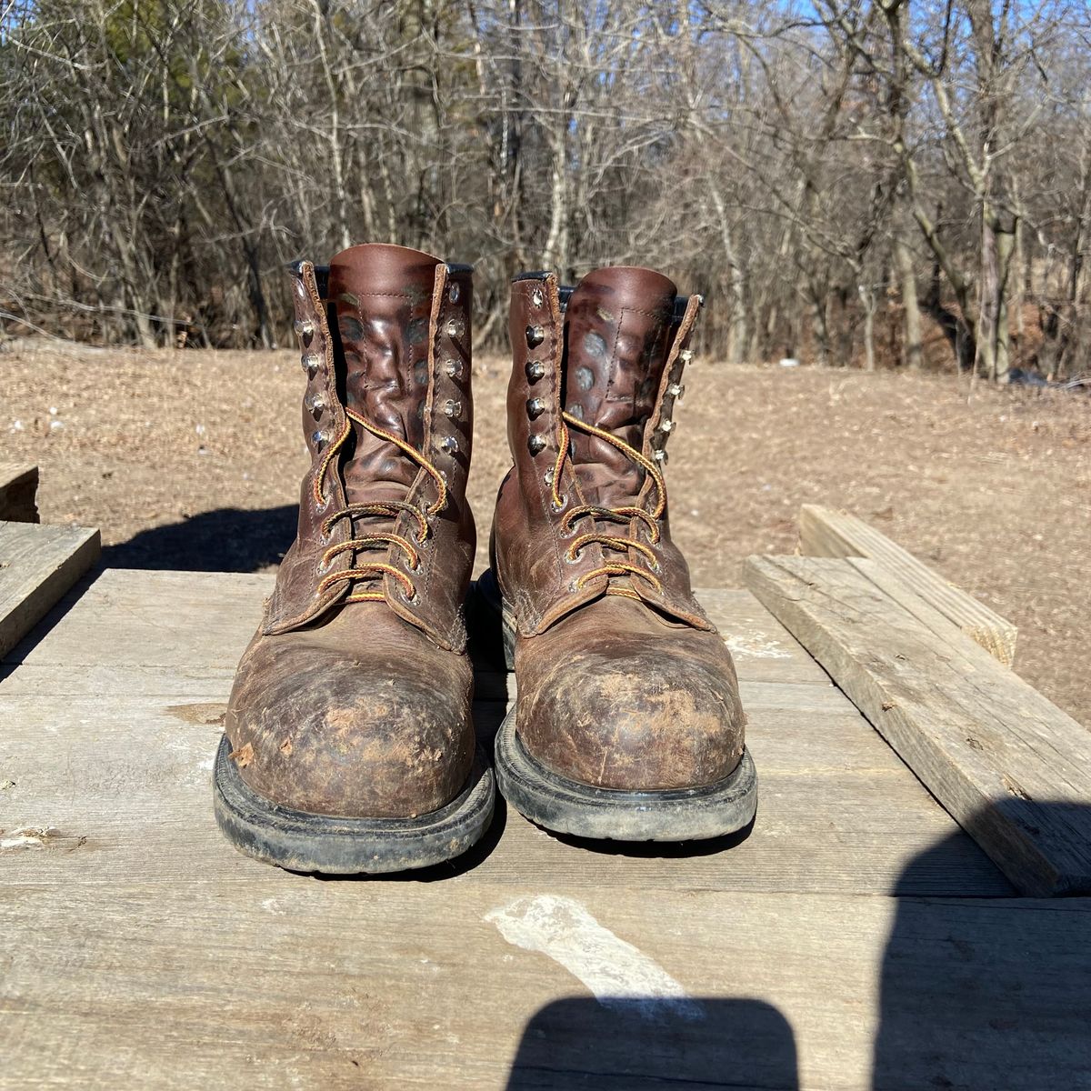 Photo by Dannymize on February 1, 2025 of the Red Wing 2233 in Full Grain Oiled.