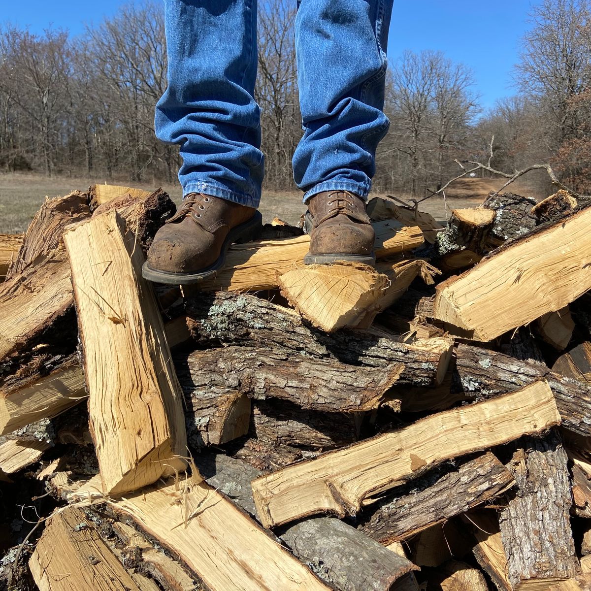 Photo by Dannymize on March 1, 2025 of the Red Wing 2233 in Full Grain Oiled.