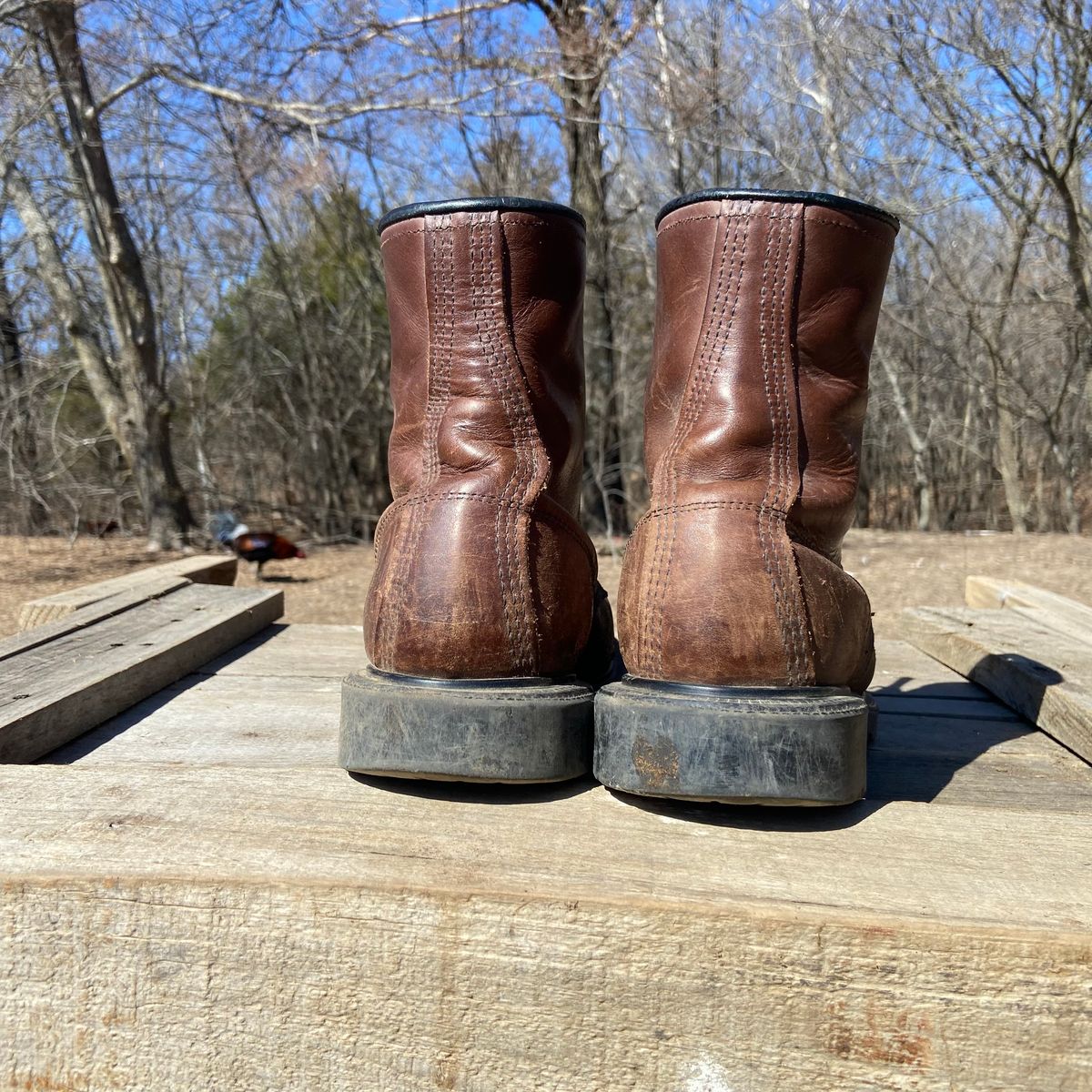 Photo by Dannymize on March 1, 2025 of the Red Wing 2233 in Full Grain Oiled.