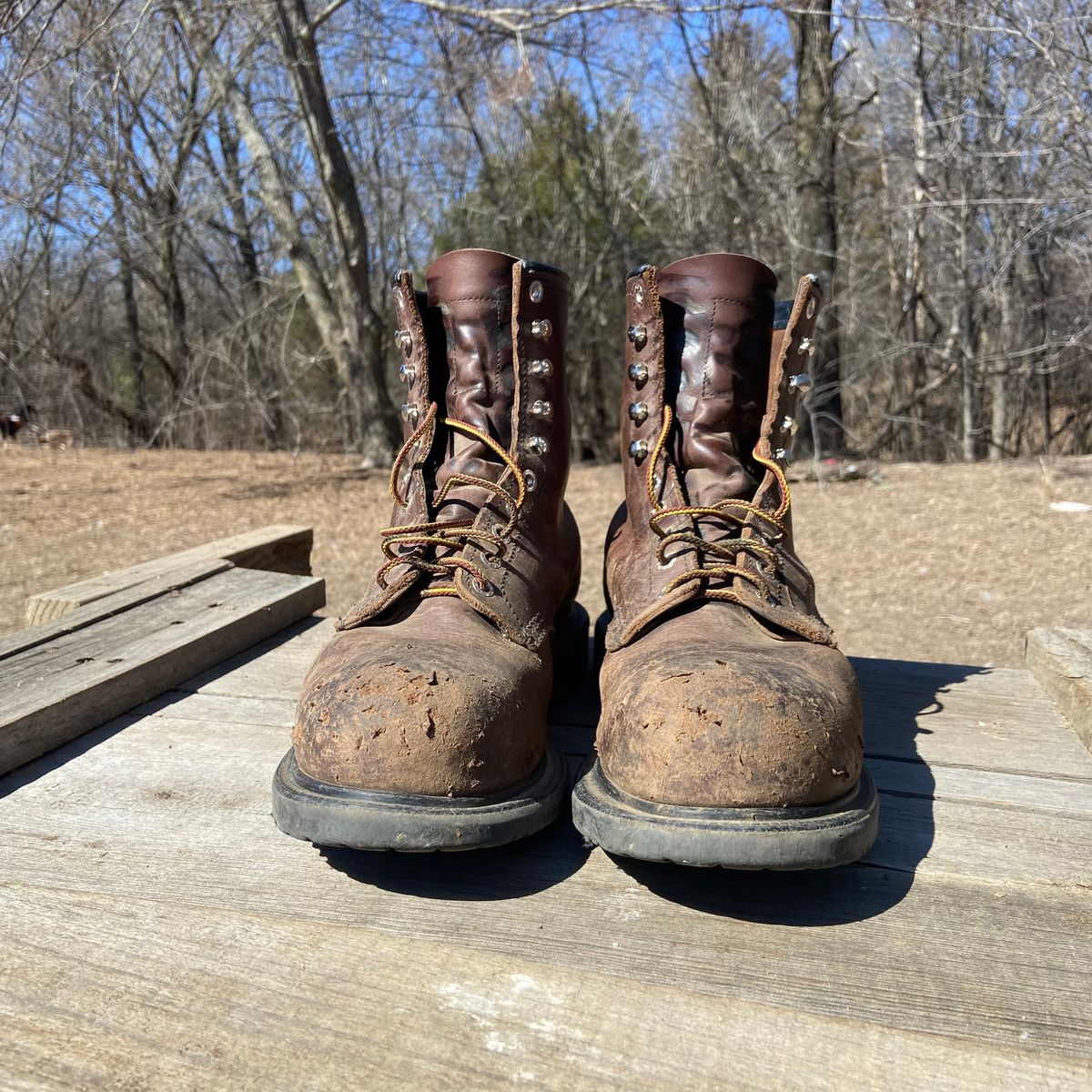 Photo by Dannymize on March 1, 2025 of the Red Wing 2233 in Full Grain Oiled.