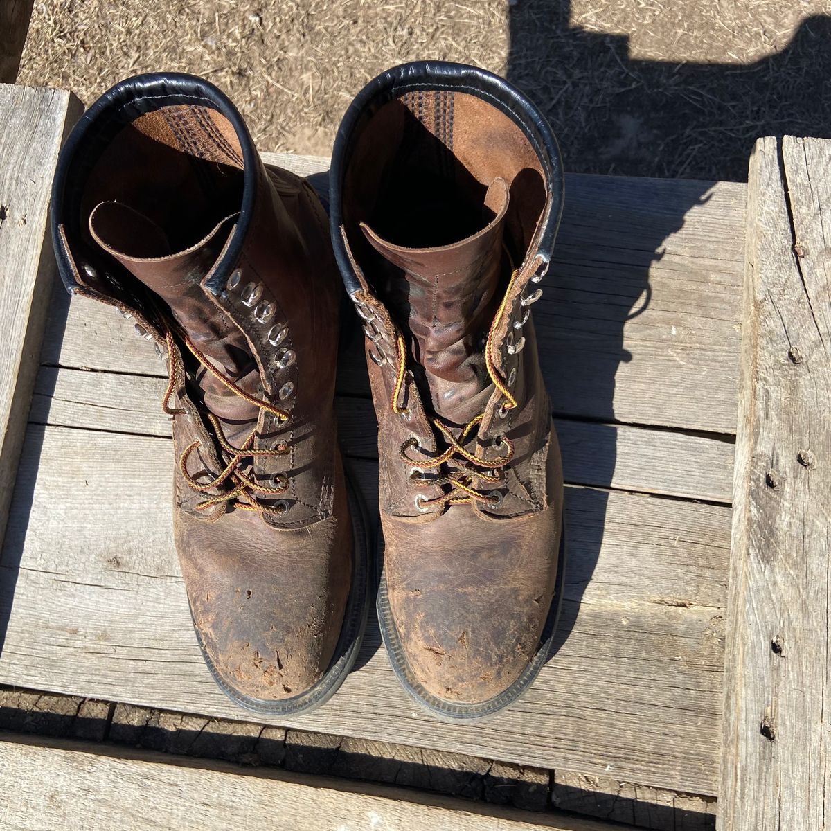 Photo by Dannymize on March 1, 2025 of the Red Wing 2233 in Full Grain Oiled.