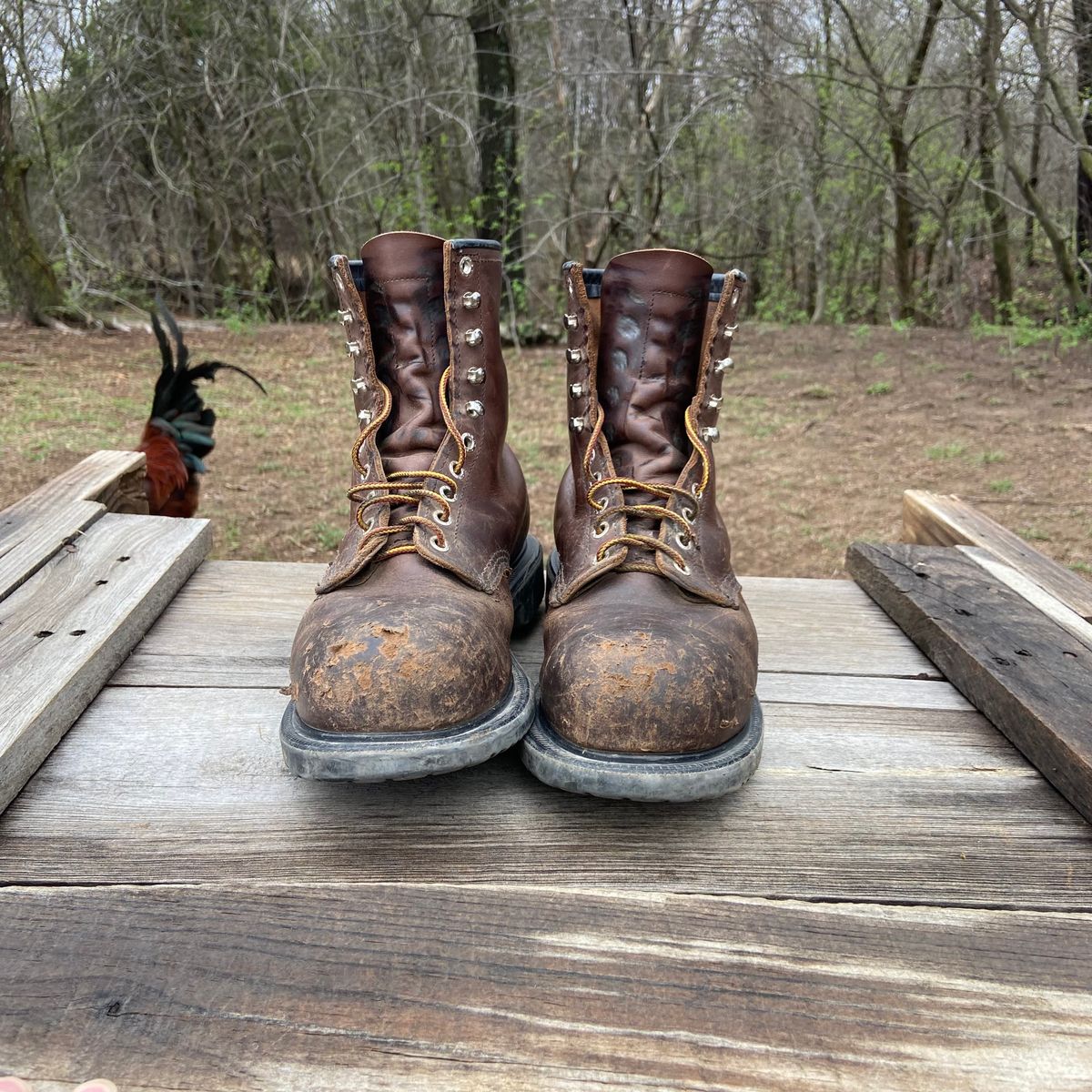 Photo by Dannymize on April 5, 2025 of the Red Wing 2233 in Full Grain Oiled.