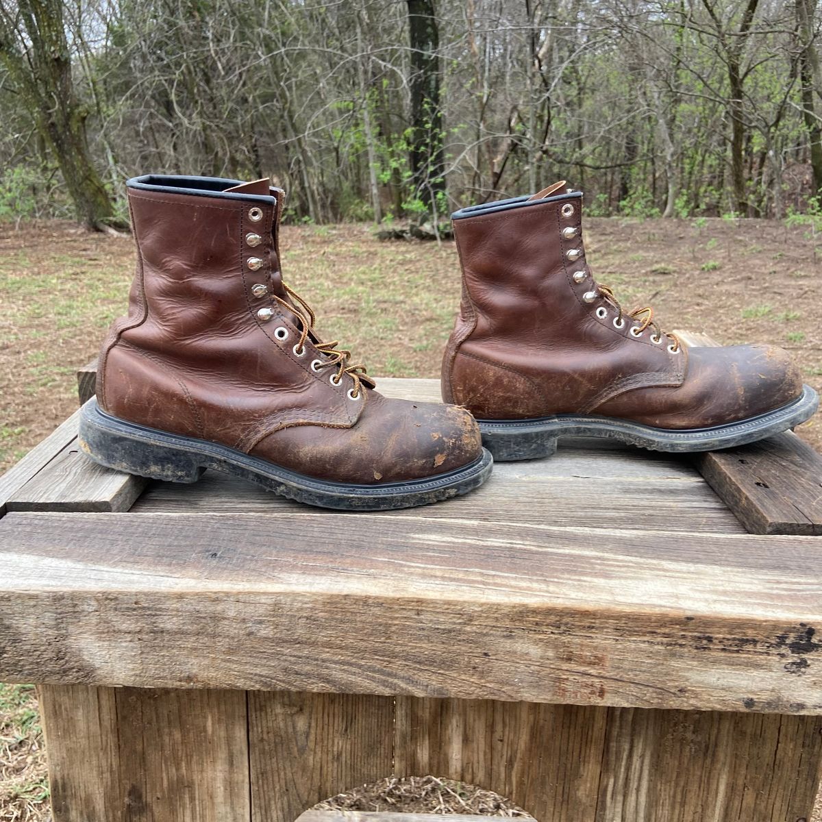 Photo by Dannymize on April 5, 2025 of the Red Wing 2233 in Full Grain Oiled.