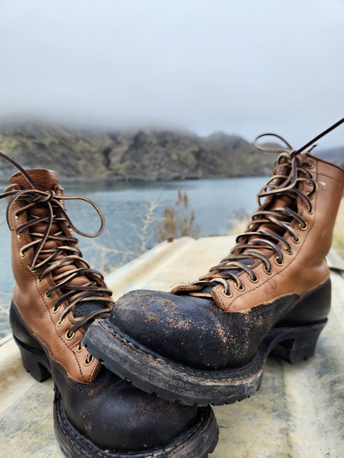 Photo by nickjack on January 5, 2026 of the White's x Division Road LTT Logger 375 in Horween Natural Chromexcel & Horween Black Waxed Flesh.