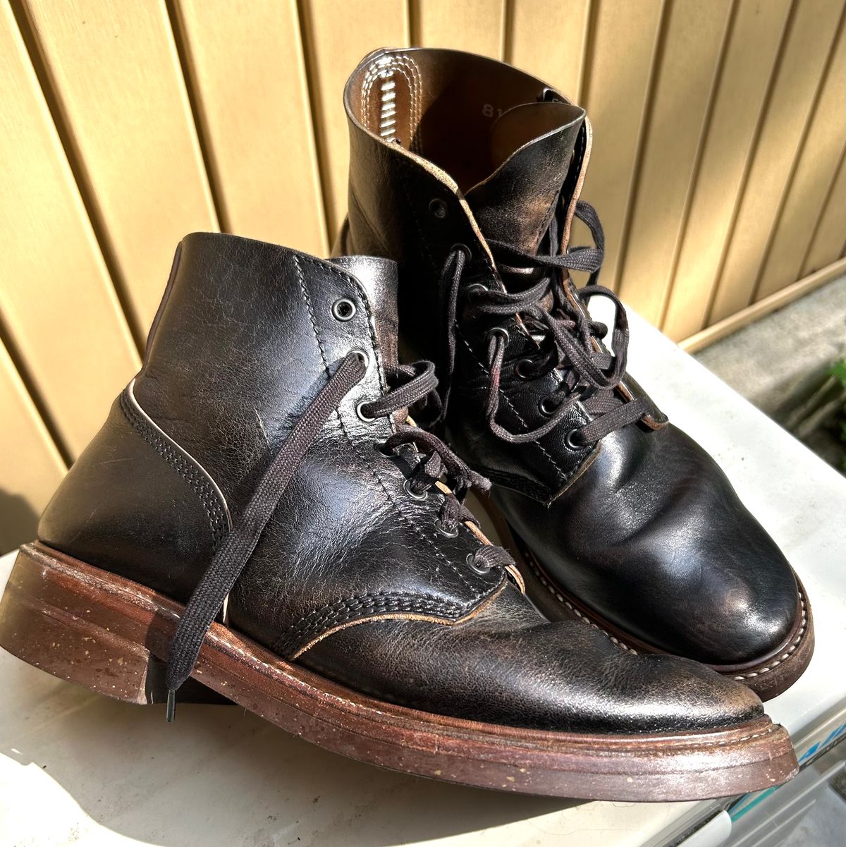 Photo by woolwonders on July 7, 2026 of the John Lofgren M-43 Service Shoes in Shinki Black Teacore Horsebutt.