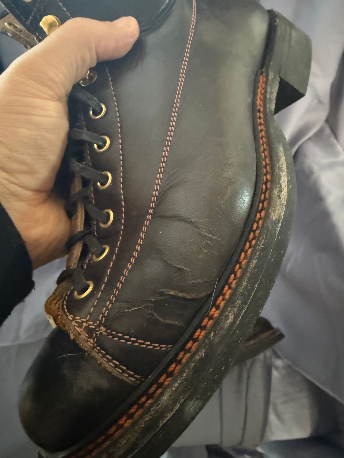 Photo by Mirswith95 on February 1, 2026 of the Sagara Cordmaster in Indonesian Black Teacore.