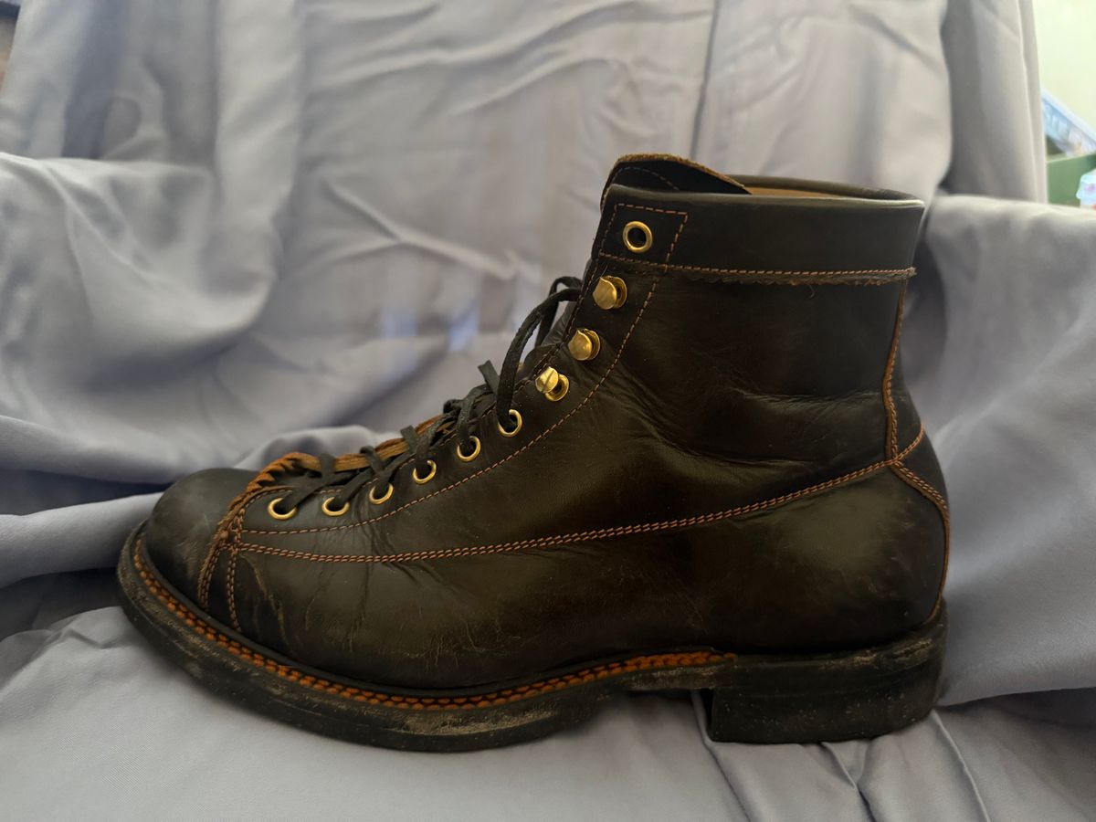 Photo by Mirswith95 on February 1, 2026 of the Sagara Cordmaster in Indonesian Black Teacore.