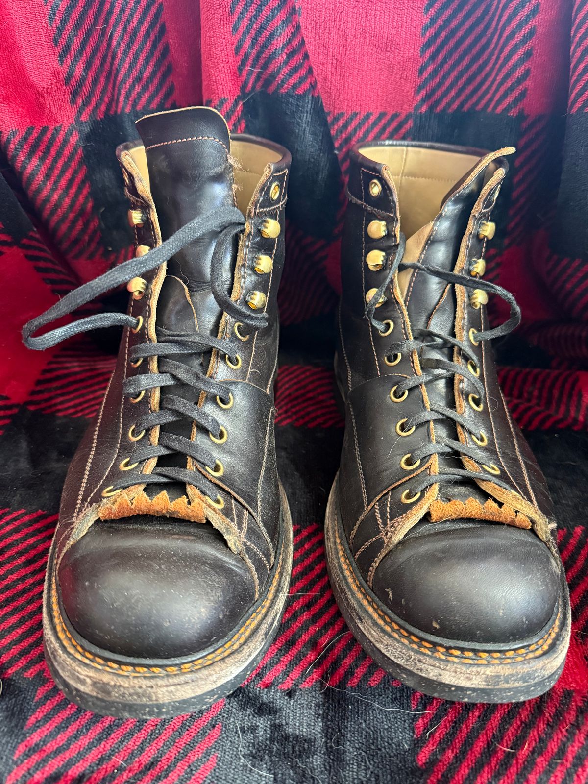 Photo by Mirswith95 on March 3, 2026 of the Sagara Cordmaster in Indonesian Black Teacore.