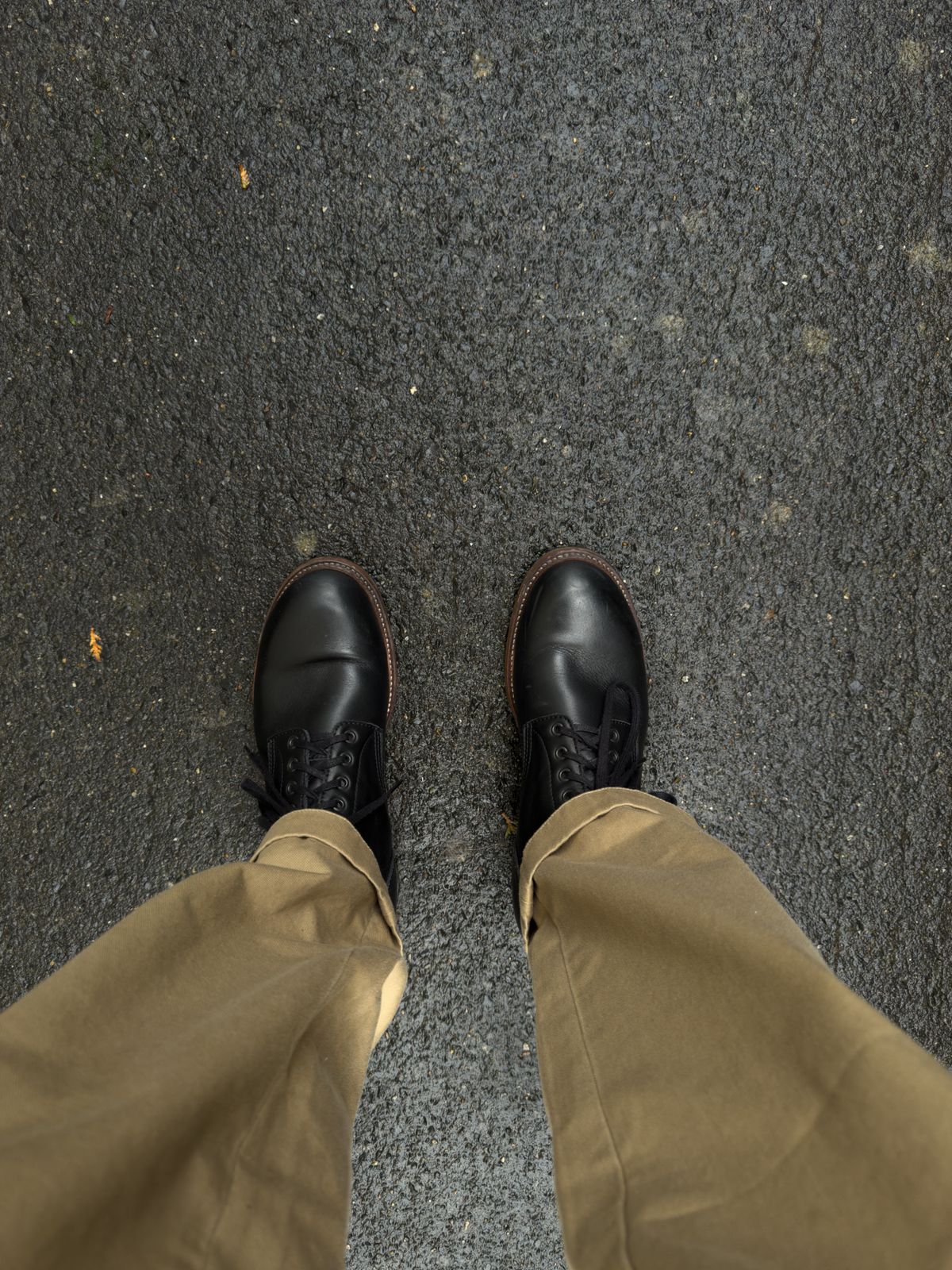 Photo by alexzh25 on November 13, 2025 of the Sandmann Courthouse II in Black Greasy Cowhide.