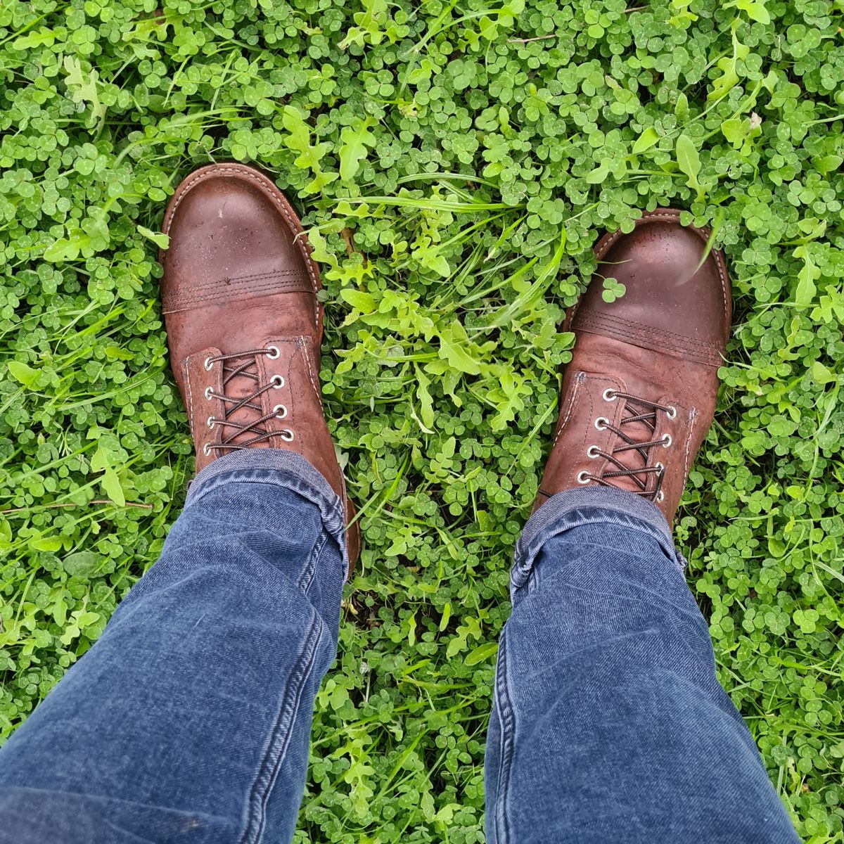 Photo by DownThunderdome on June 1, 2024 of the Red Wing Iron Ranger in S.B. Foot Amber Harness.