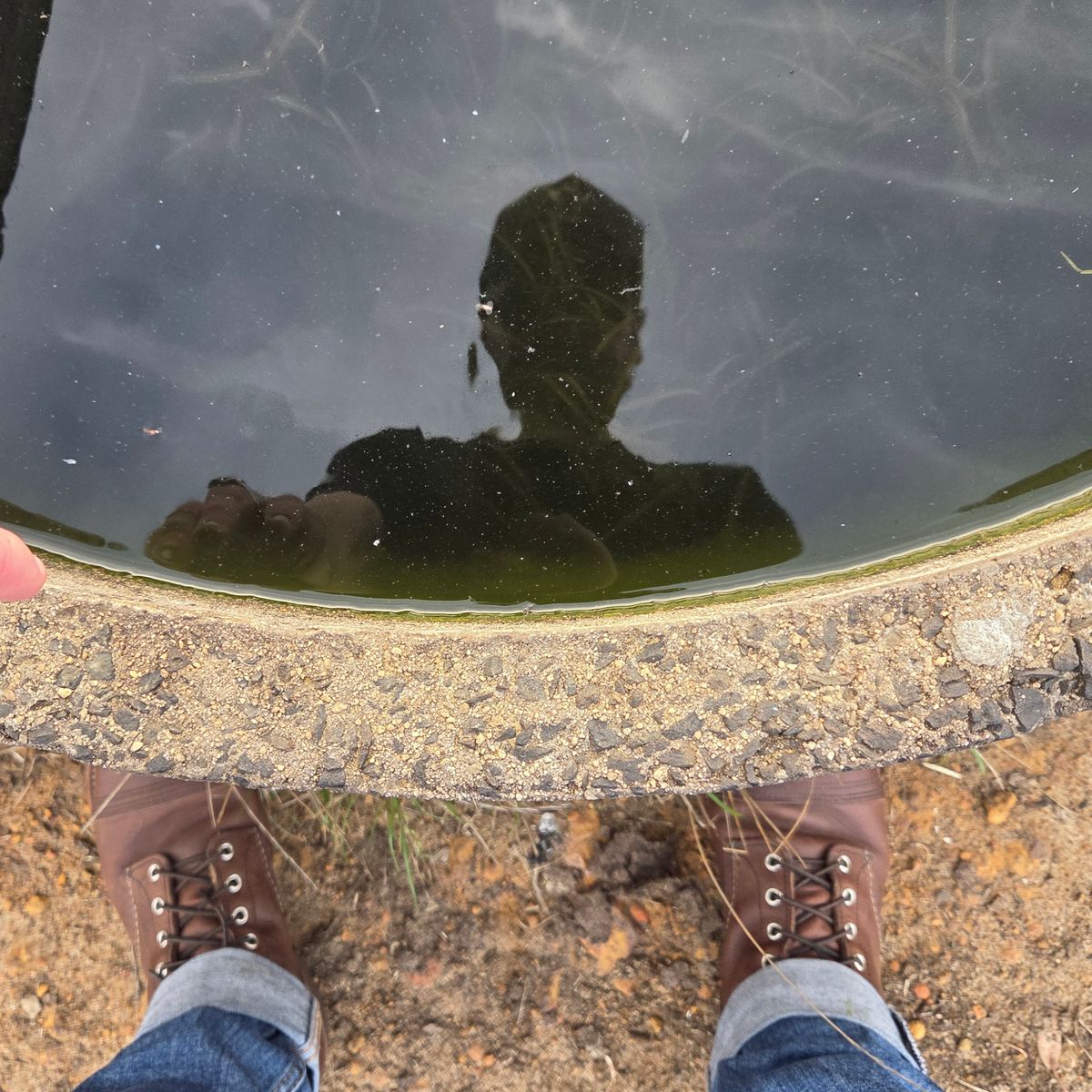 Photo by DownThunderdome on April 11, 2025 of the Red Wing Iron Ranger in S.B. Foot Amber Harness.