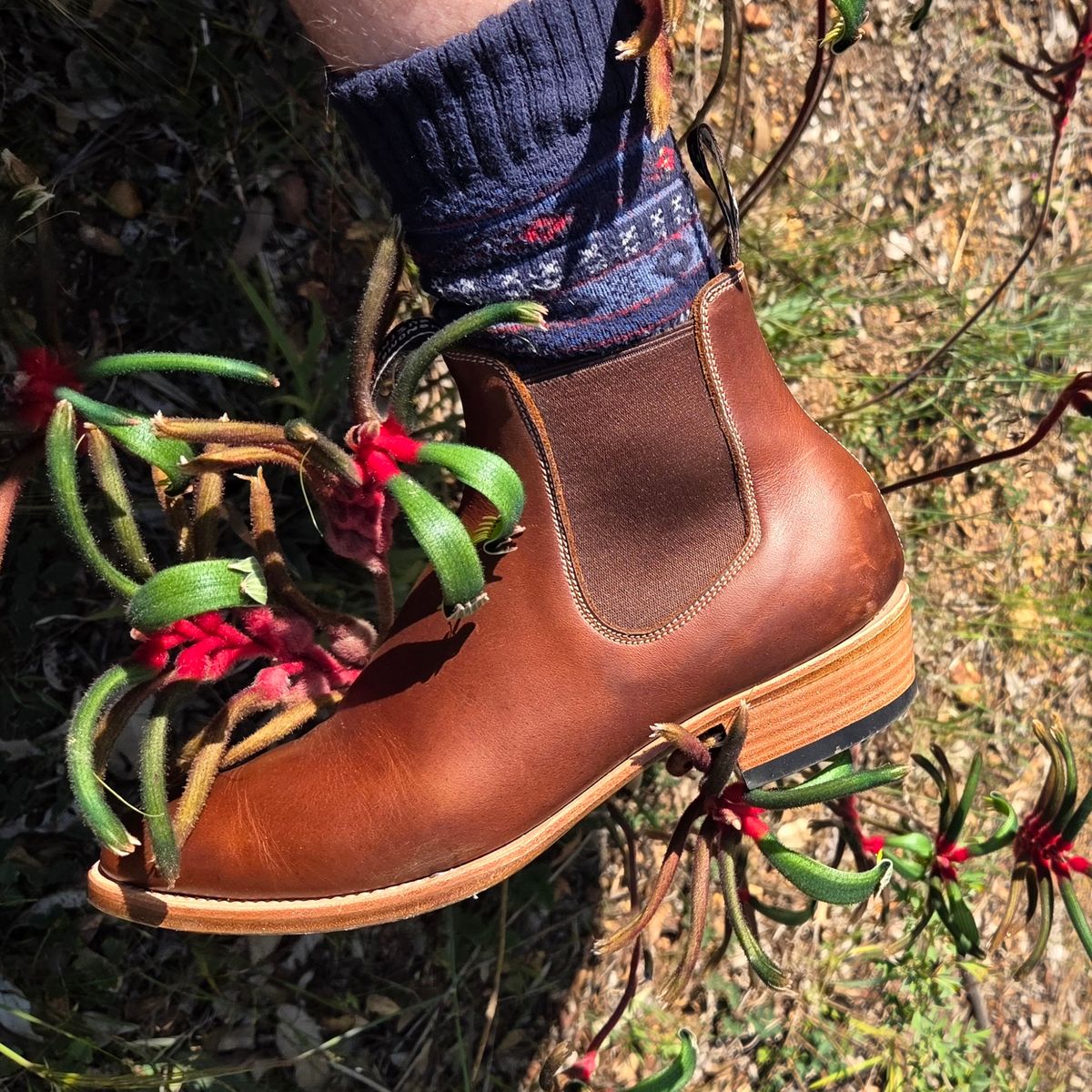 Photo by DownThunderdome on October 11, 2025 of the Wootten Sgt. Pepper in Waxxed Saddle Tan.