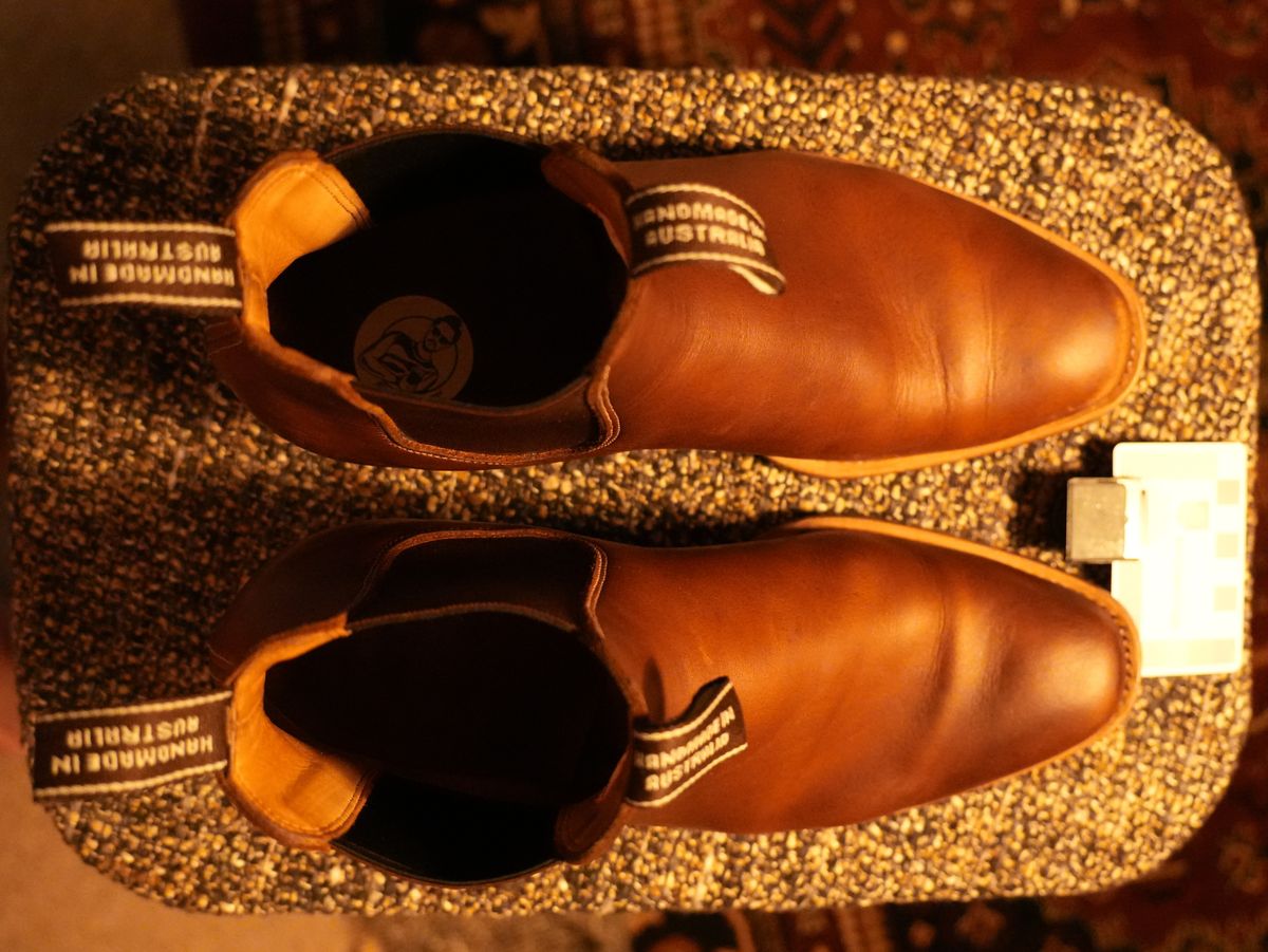 Photo by DownThunderdome on November 3, 2025 of the Wootten Sgt. Pepper in Waxxed Saddle Tan.