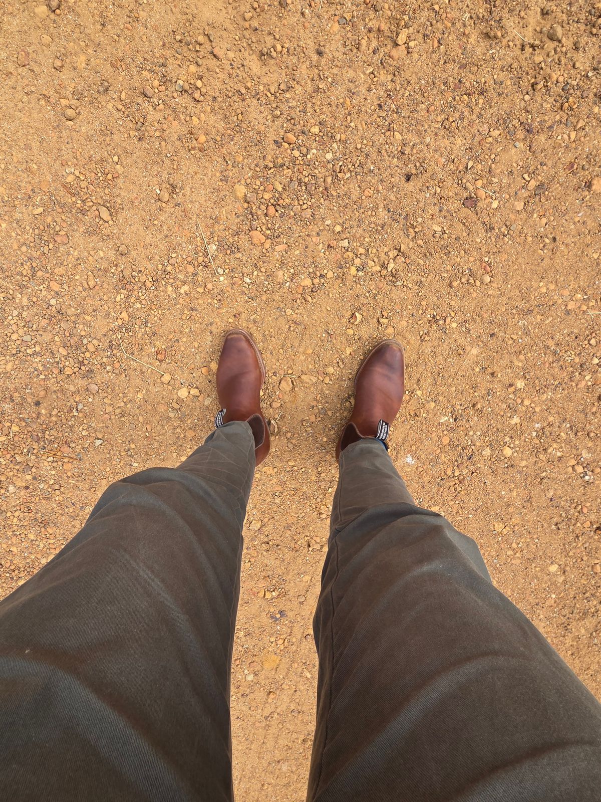 Photo by DownThunderdome on March 2, 2026 of the Wootten Sgt. Pepper in Waxxed Saddle Tan.