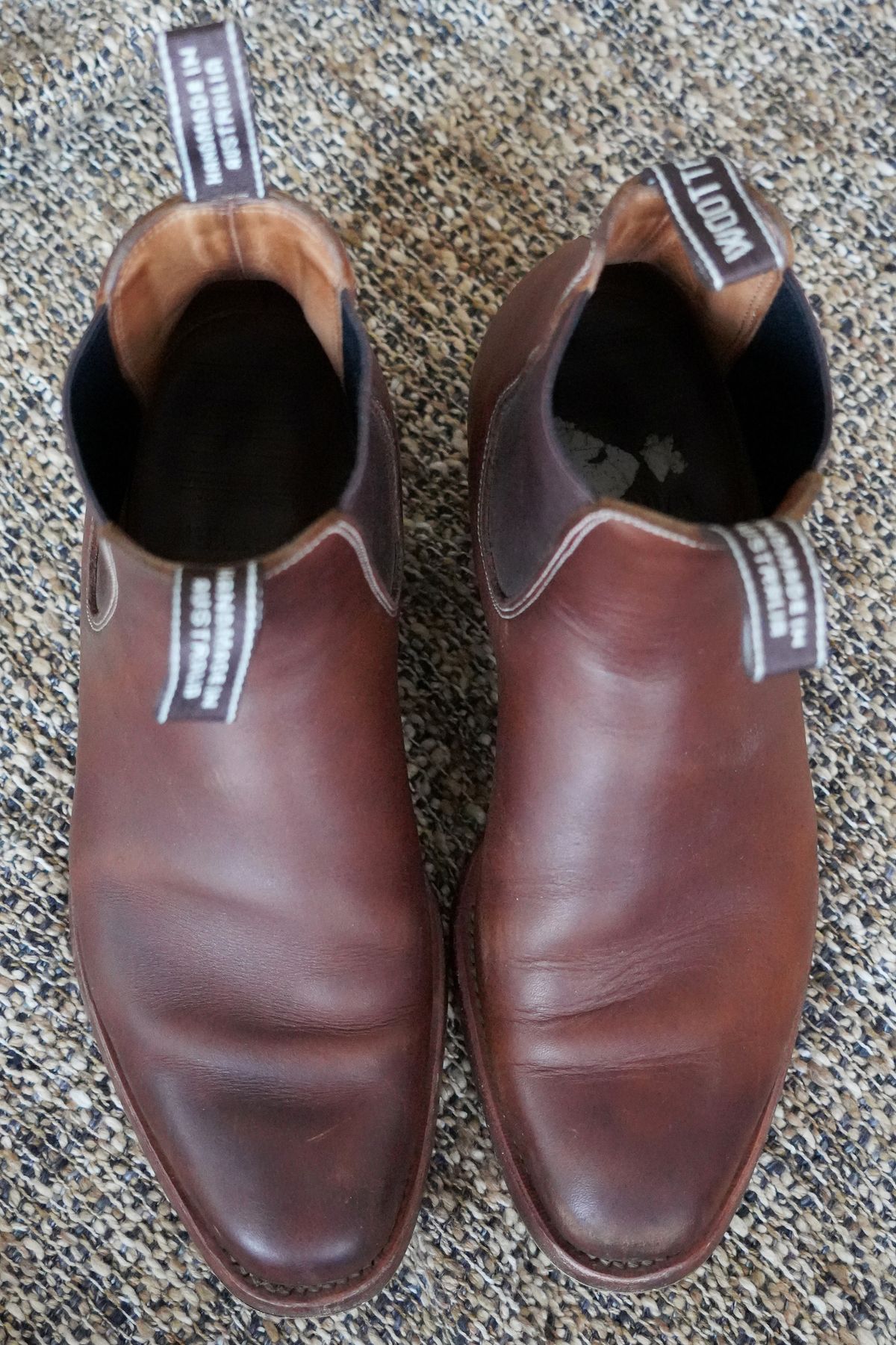 Photo by DownThunderdome on April 5, 2026 of the Wootten Sgt. Pepper in Waxxed Saddle Tan.