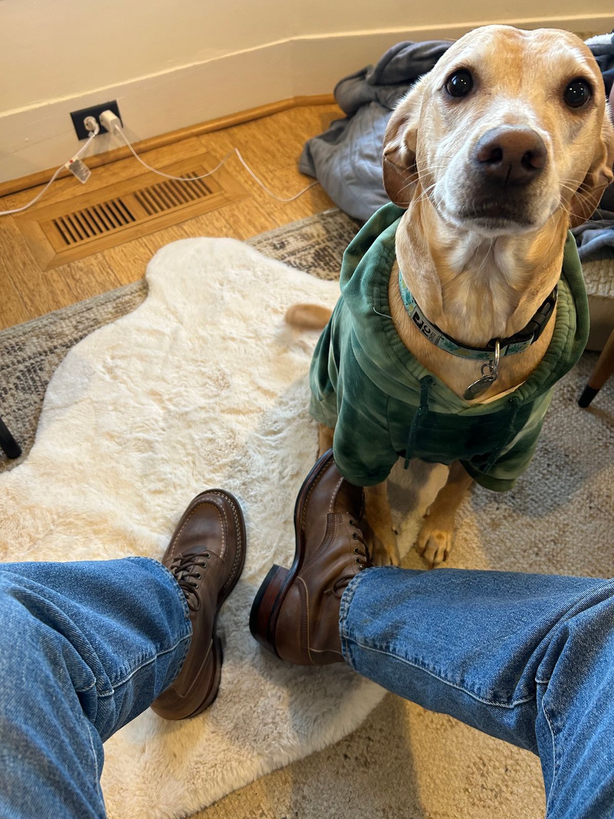 Photo by theotherjeff on January 25, 2026 of the Nicks Moc Toe in Horween Predator Natural.