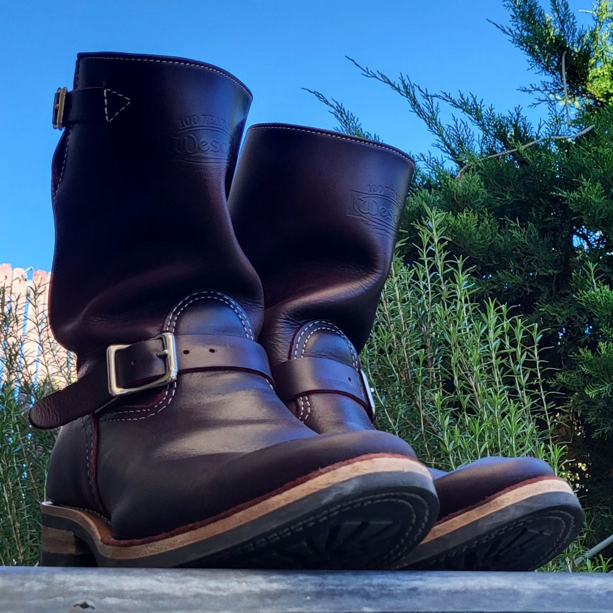 Photo by Mobeeenzeee on December 5, 2025 of the Wesco Boss Engineer Boot in Burgundy Domain.
