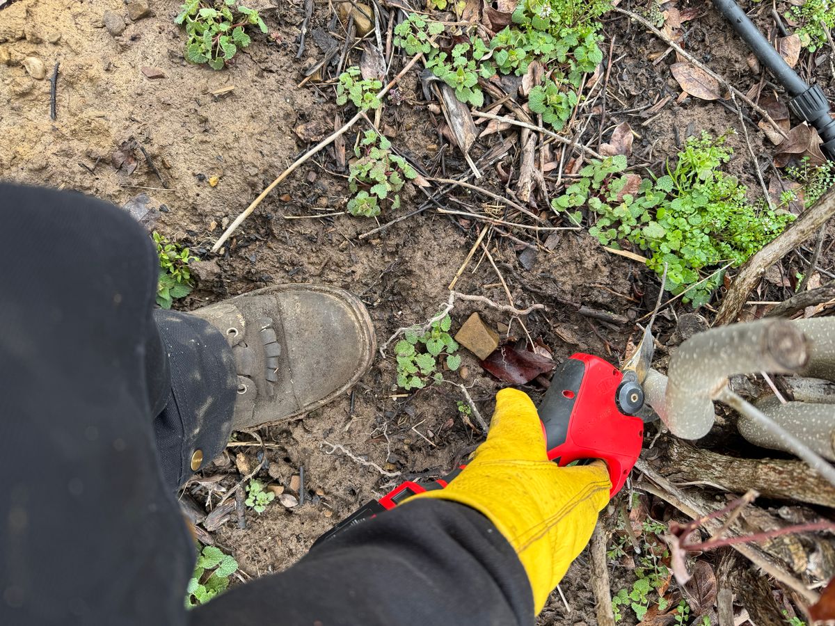Photo by gstein.250 on March 19, 2026 of the Drew's Boots Contractor 8-inch in Brown Roughout.