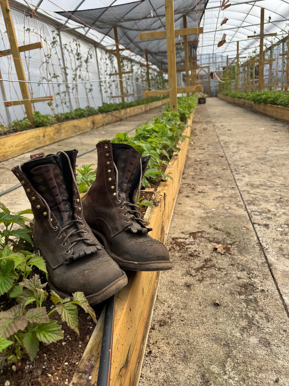 Photo by gstein.250 on March 31, 2026 of the Drew's Boots Contractor 8-inch in Brown Roughout.