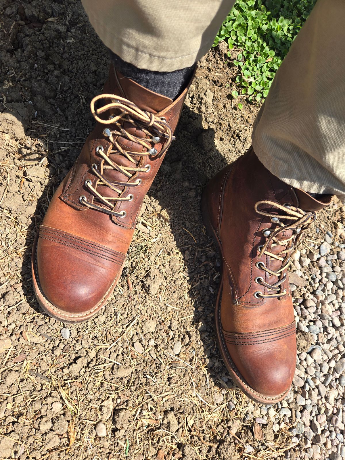 Photo by InanimatePepper on August 28, 2024 of the Red Wing Iron Ranger in S.B. Foot Copper Rough and Tough.