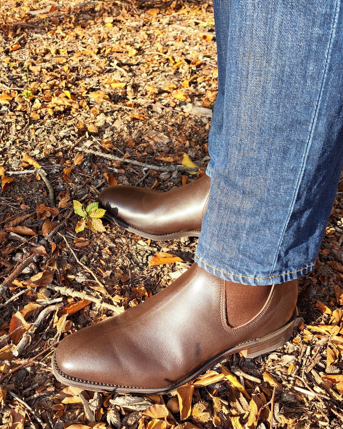 Photo by miboots on October 15, 2024 of the R.M. Williams Craftsman Boot in Chestnut Yearling.
