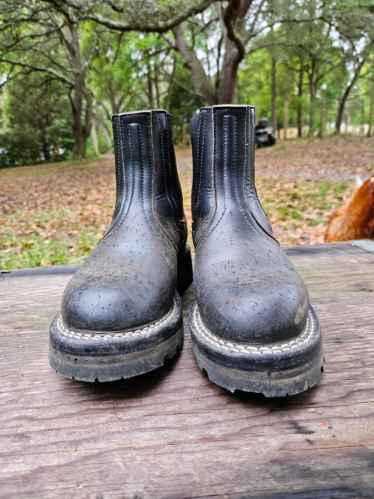 Photo by ProletariatPrince on April 5, 2026 of the Nicks Heritage Chelsea in Horween Black Chromexcel.