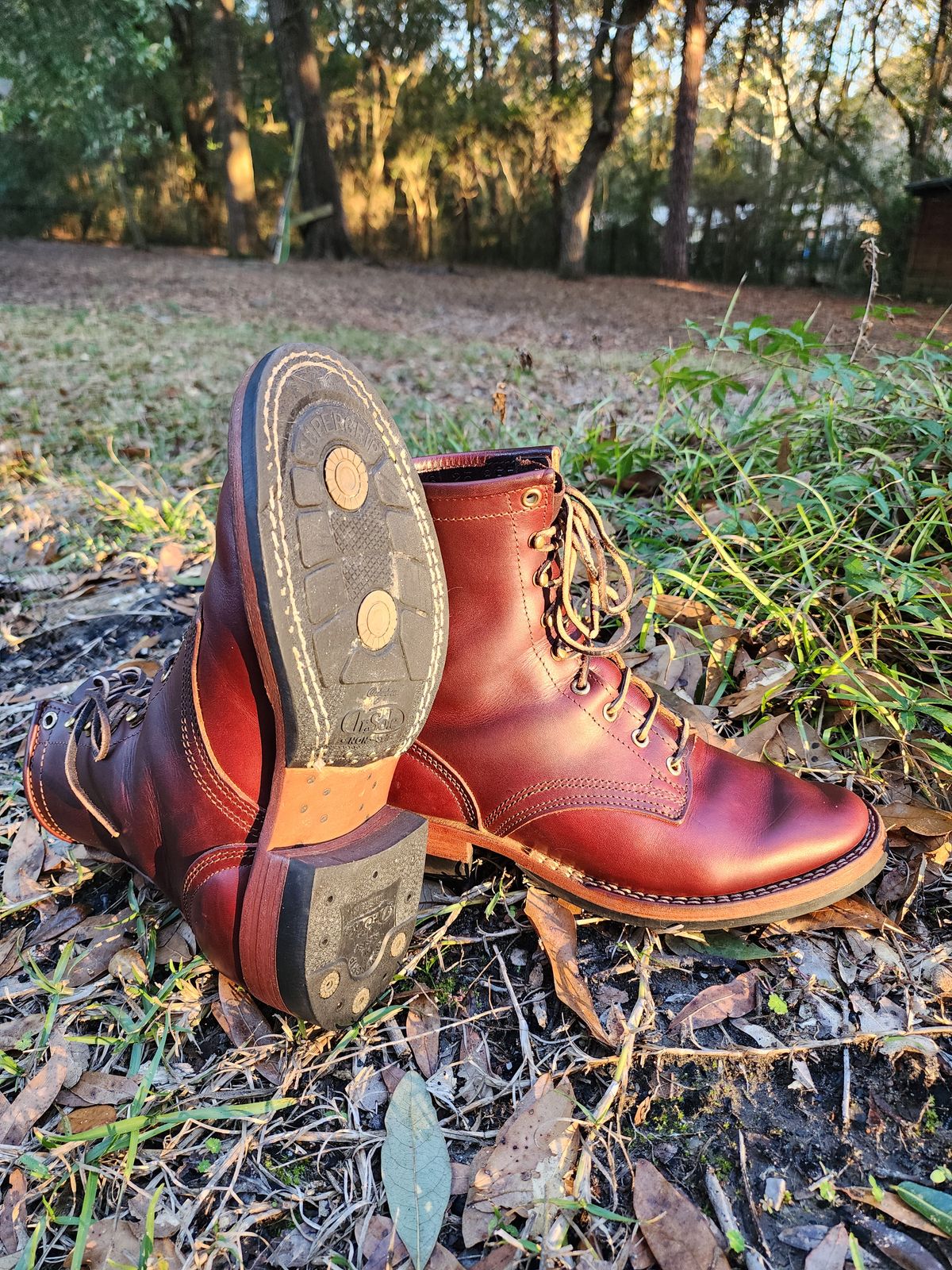 Photo by ProletariatPrince on January 4, 2026 of the Nicks Nicks X Parkhurst V3 in Wickett & Craig Chestnut Oiled Latigo.