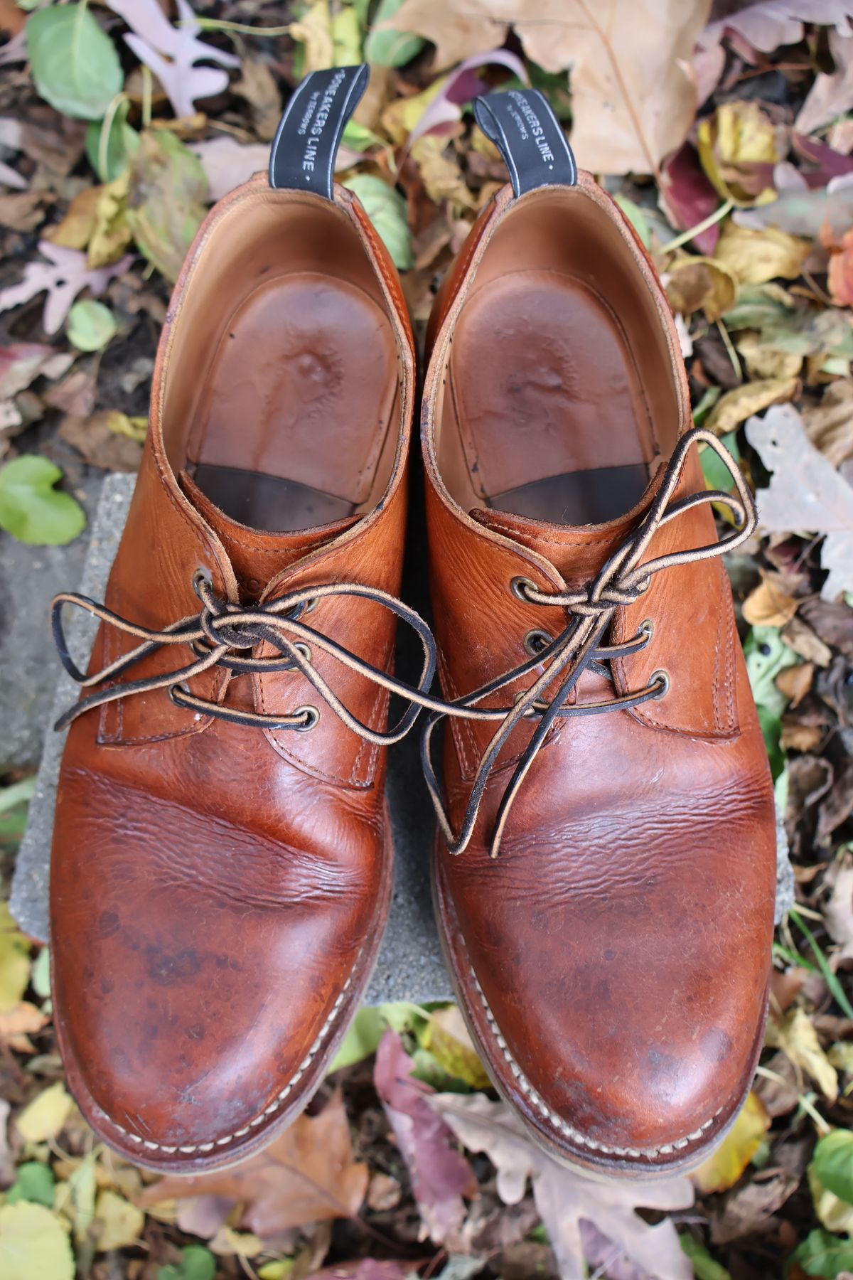 Photo by ahzrukal on November 1, 2025 of the Zerrows Derby-3 in Oiled Scratch Brown.