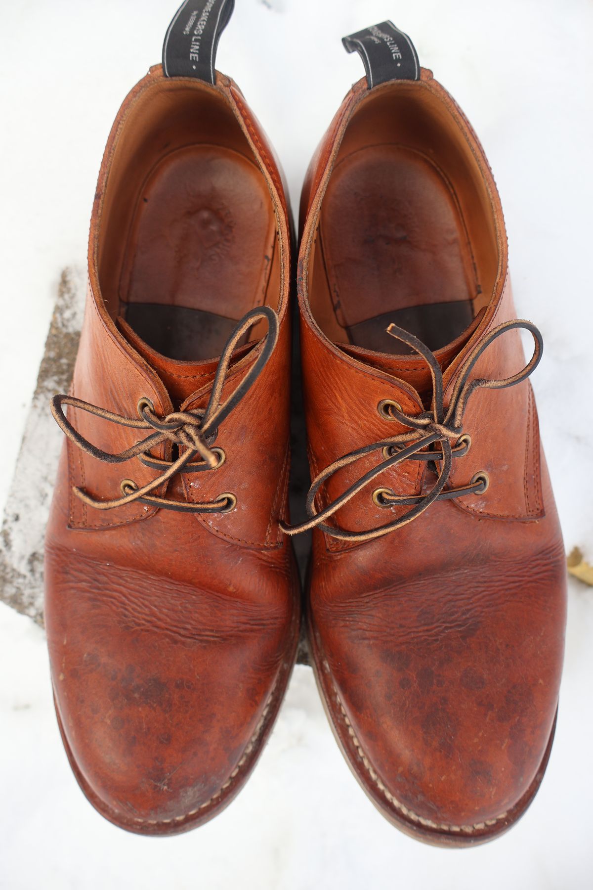 Photo by ahzrukal on December 2, 2025 of the Zerrows Derby-3 in Oiled Scratch Brown.